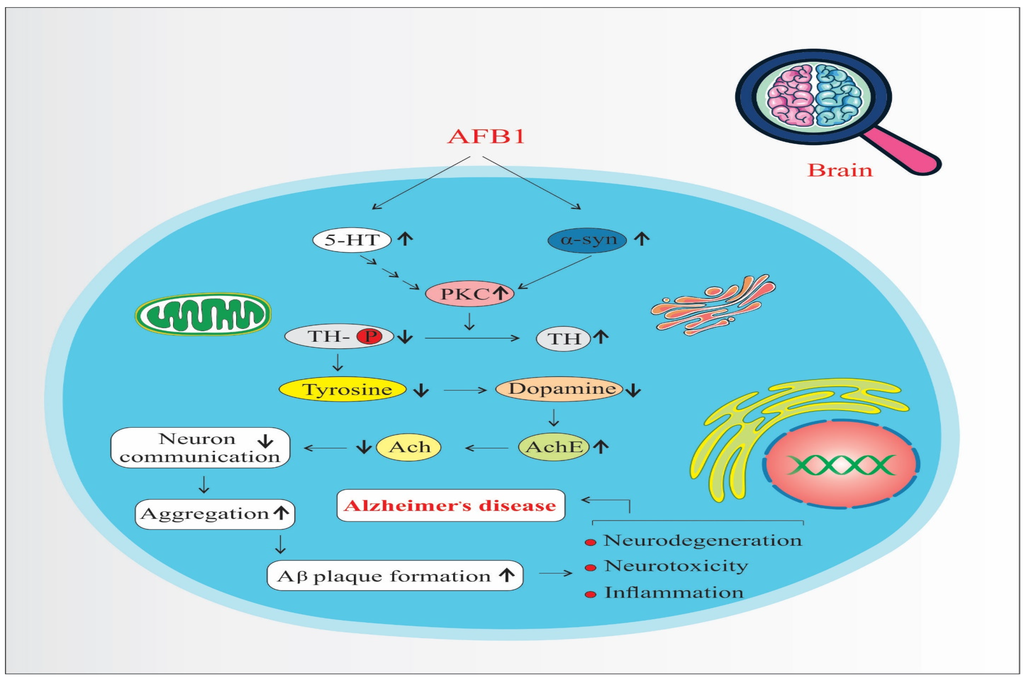 Biology 14 00436 g004