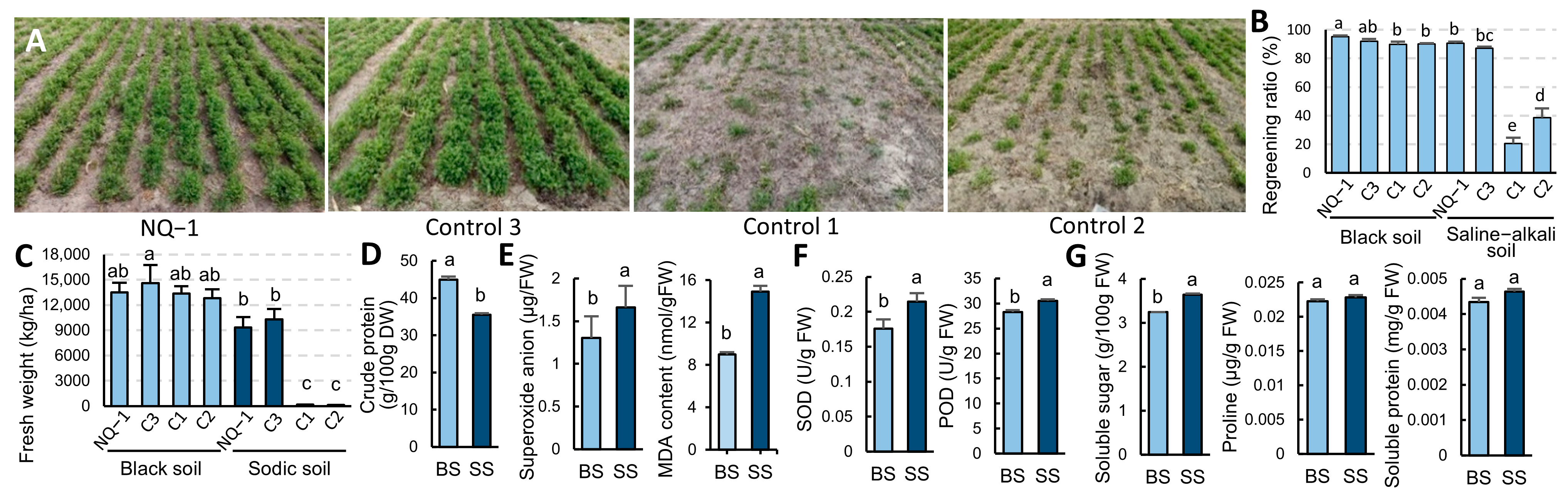 Biology 14 00439 g001 Biology 14 00439 g001