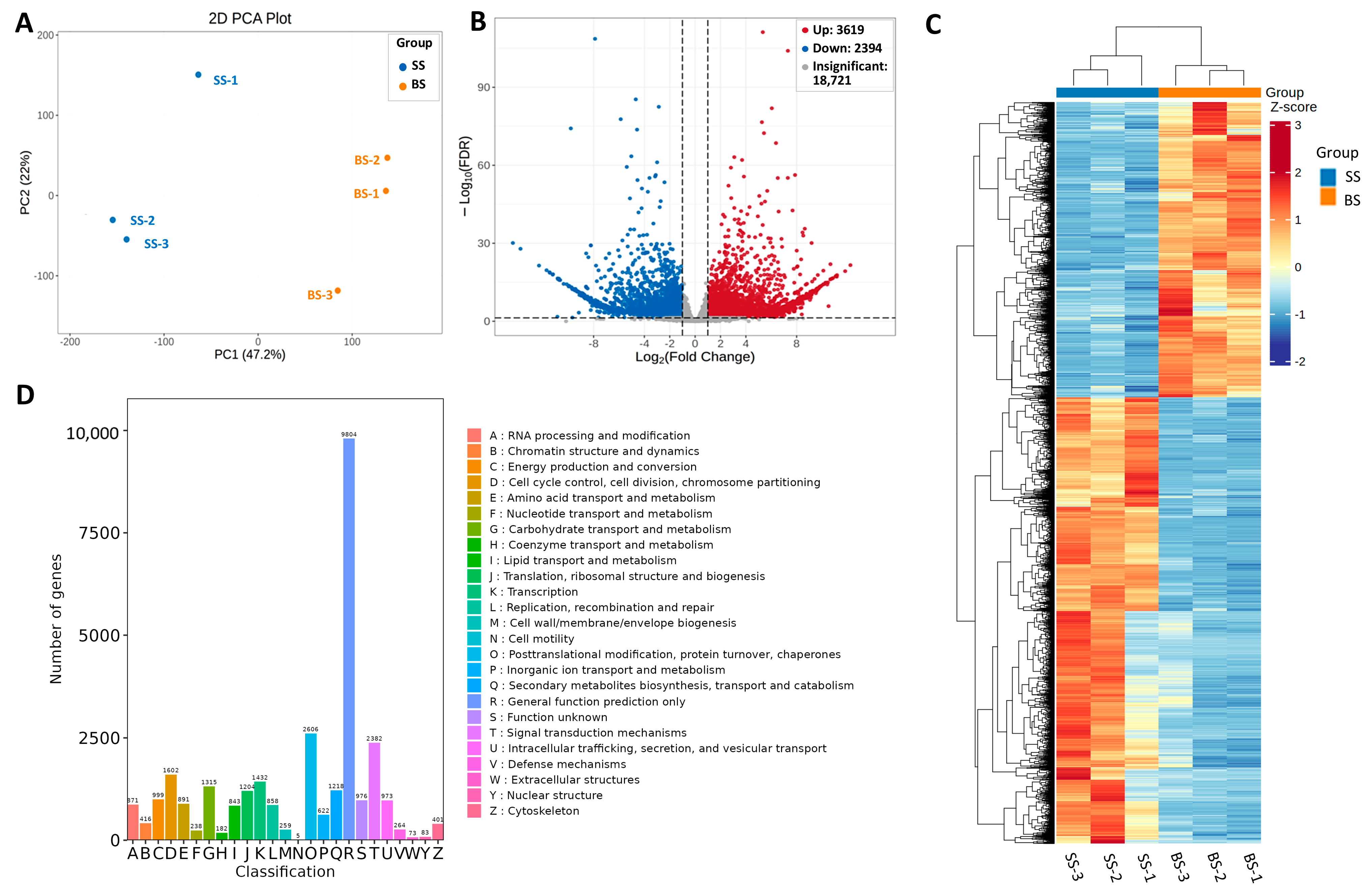 Biology 14 00439 g002 Biology 14 00439 g002