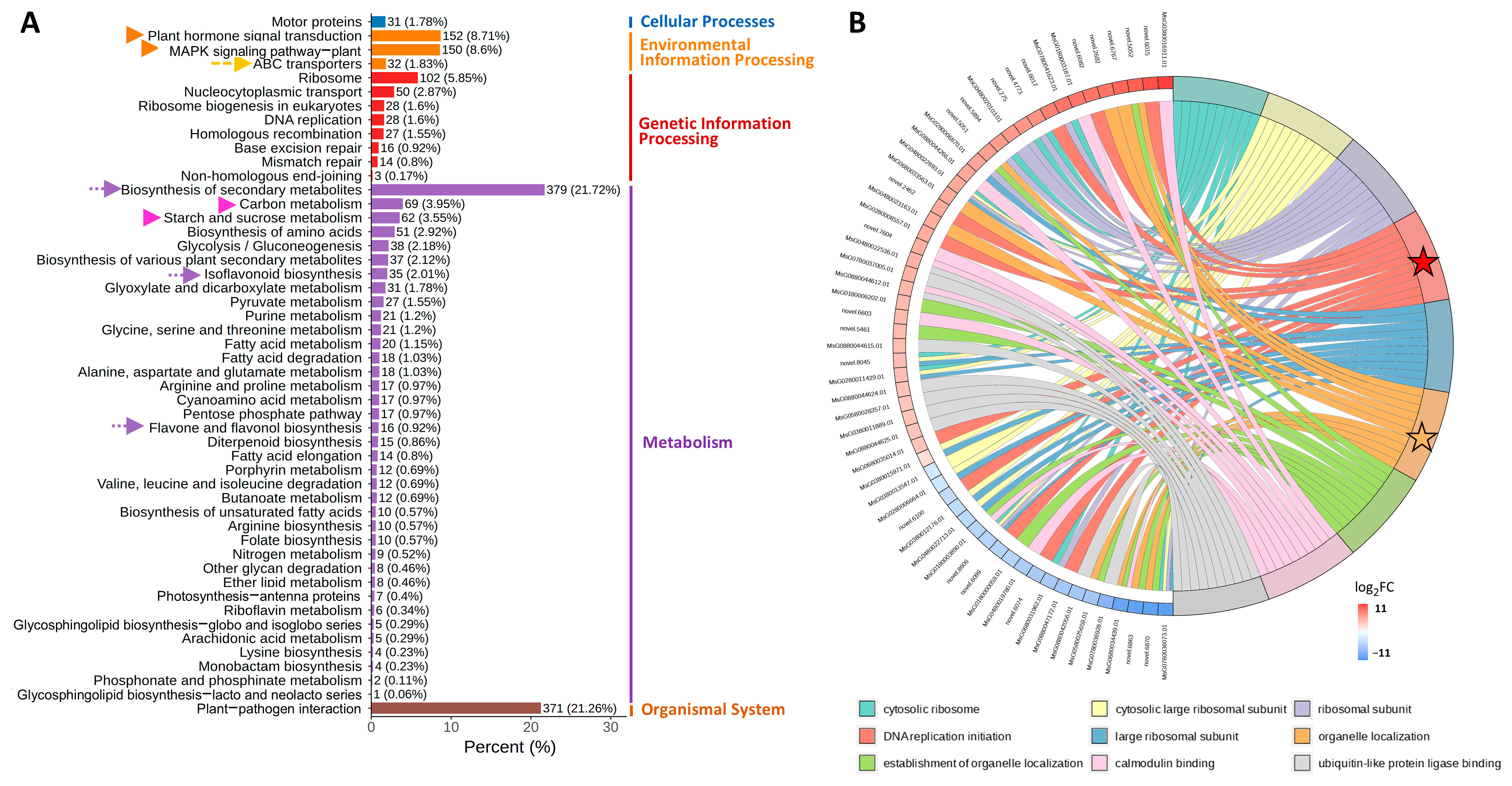 Biology 14 00439 g003 Biology 14 00439 g003