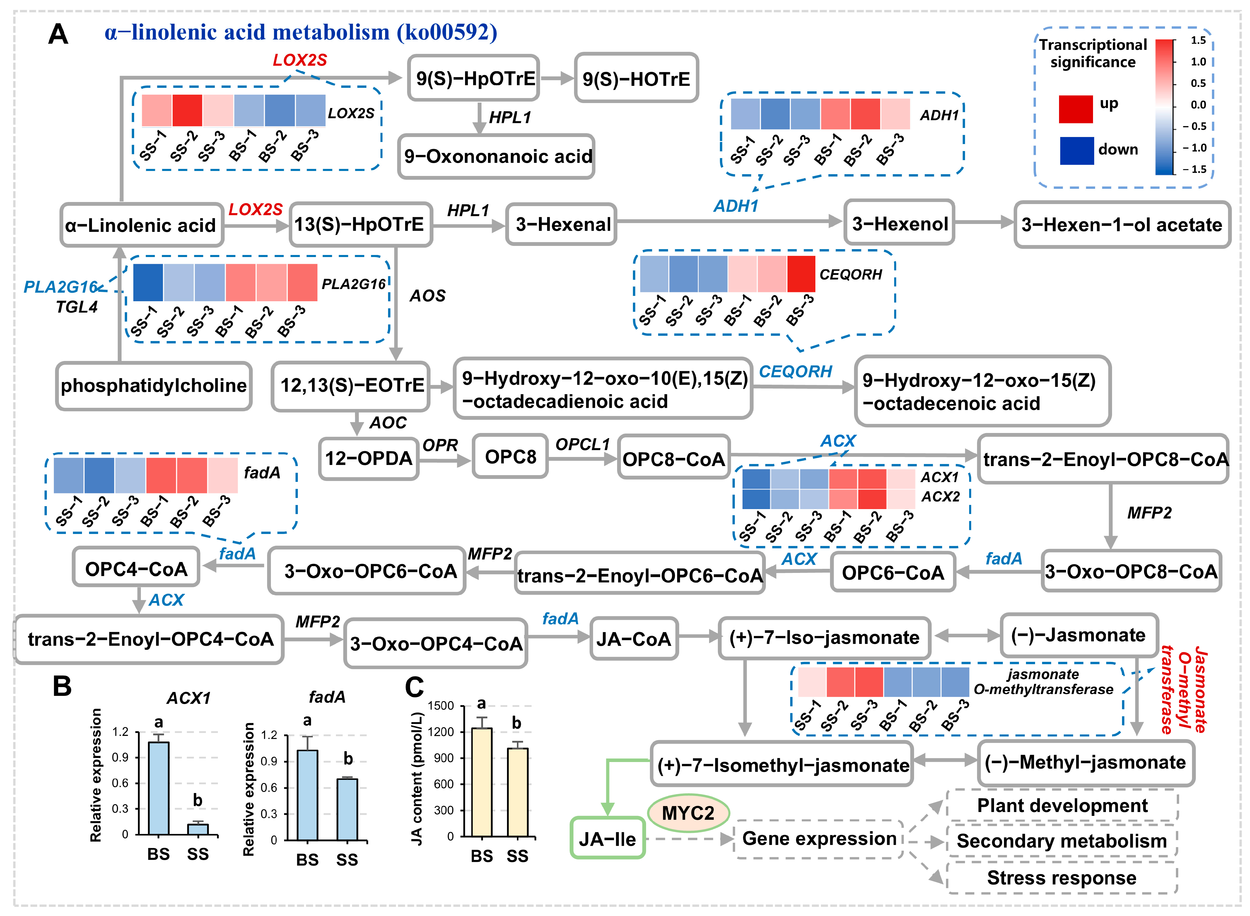 Biology 14 00439 g004 Biology 14 00439 g004