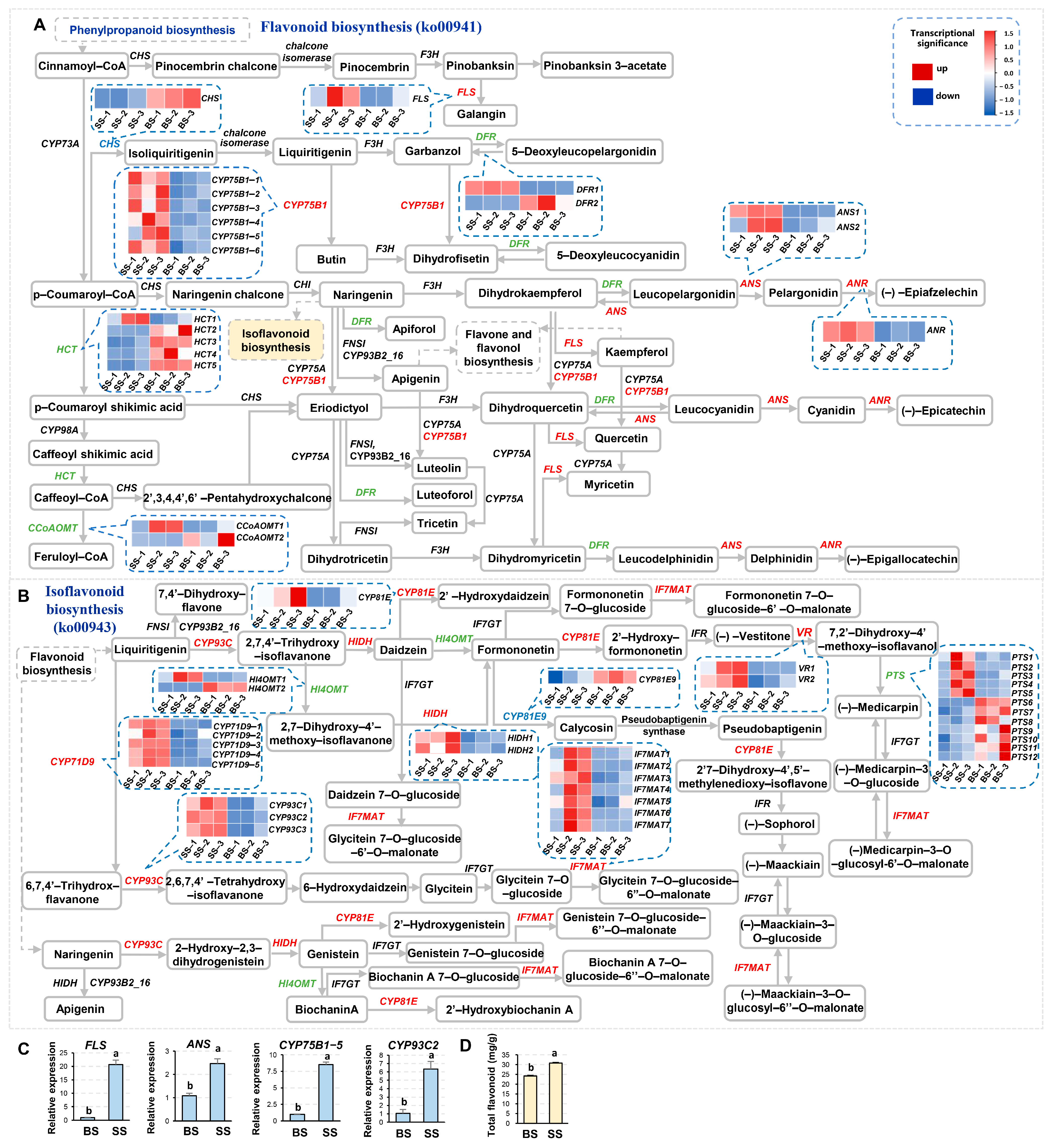 Biology 14 00439 g007 Biology 14 00439 g007