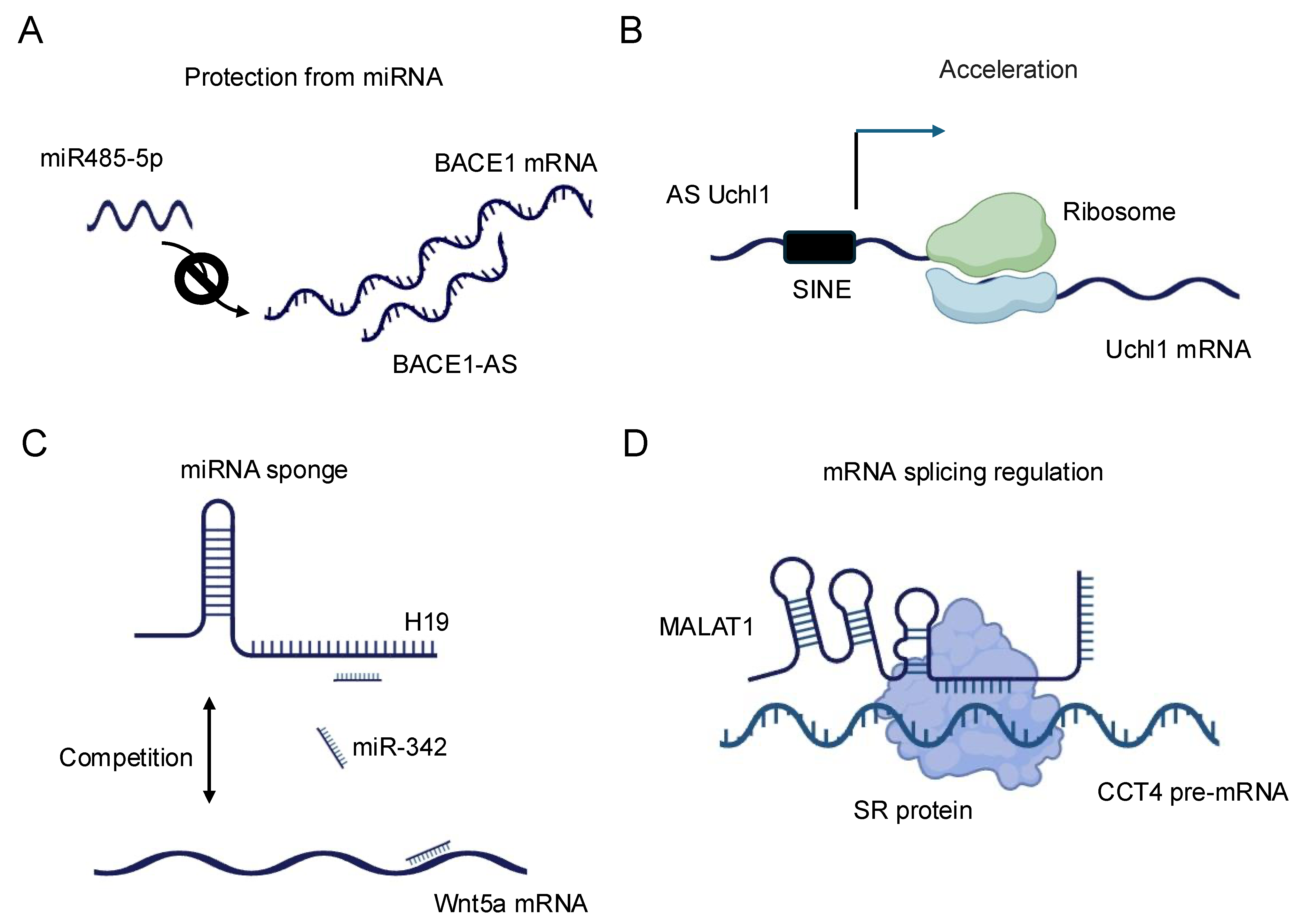 Biology 14 00442 g002