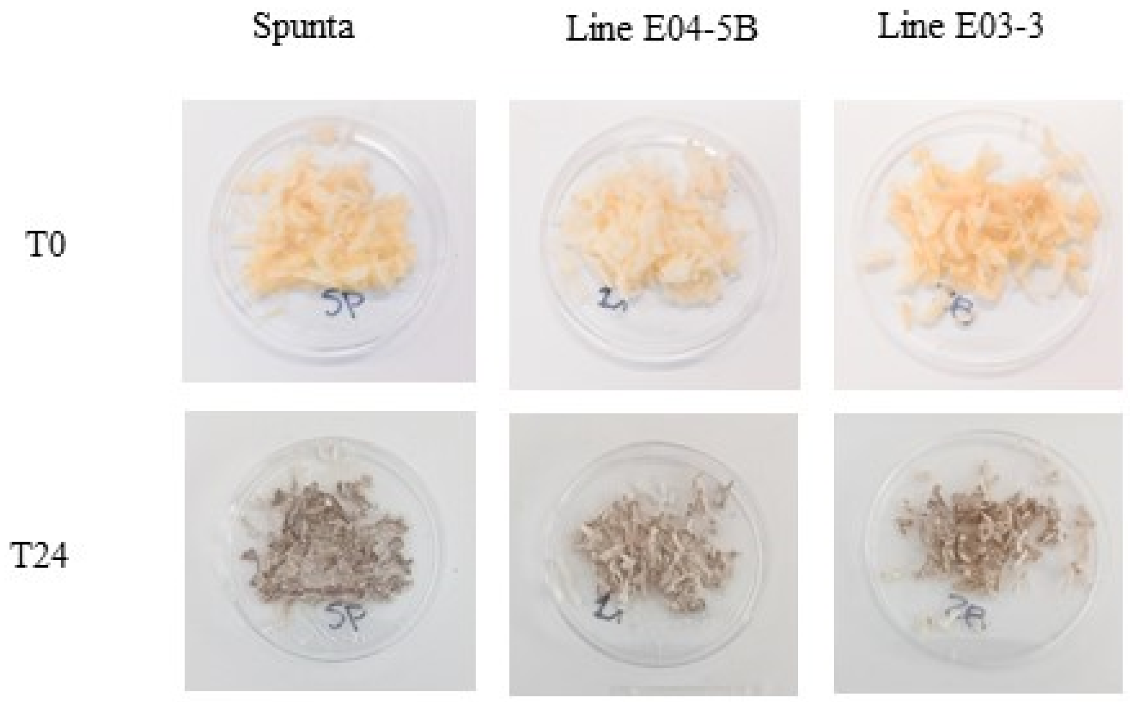 Biology 14 00445 g004