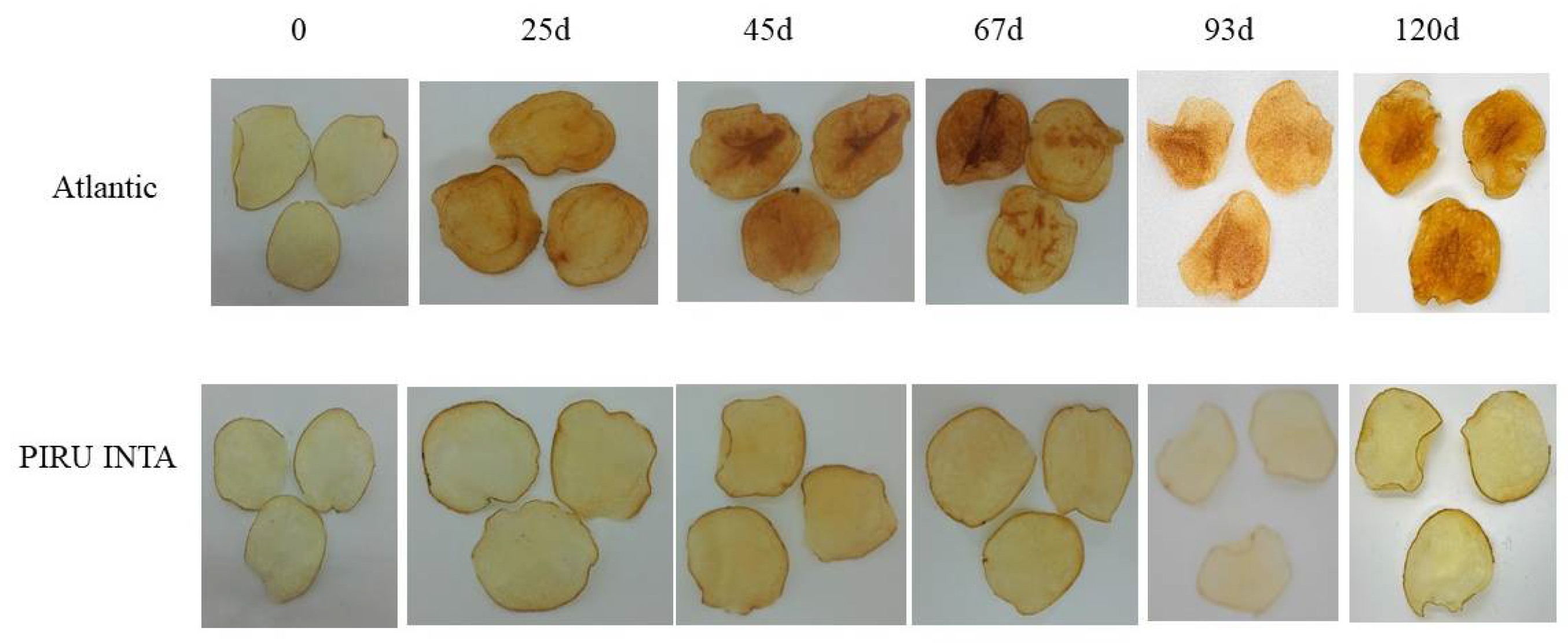 Biology 14 00445 g006