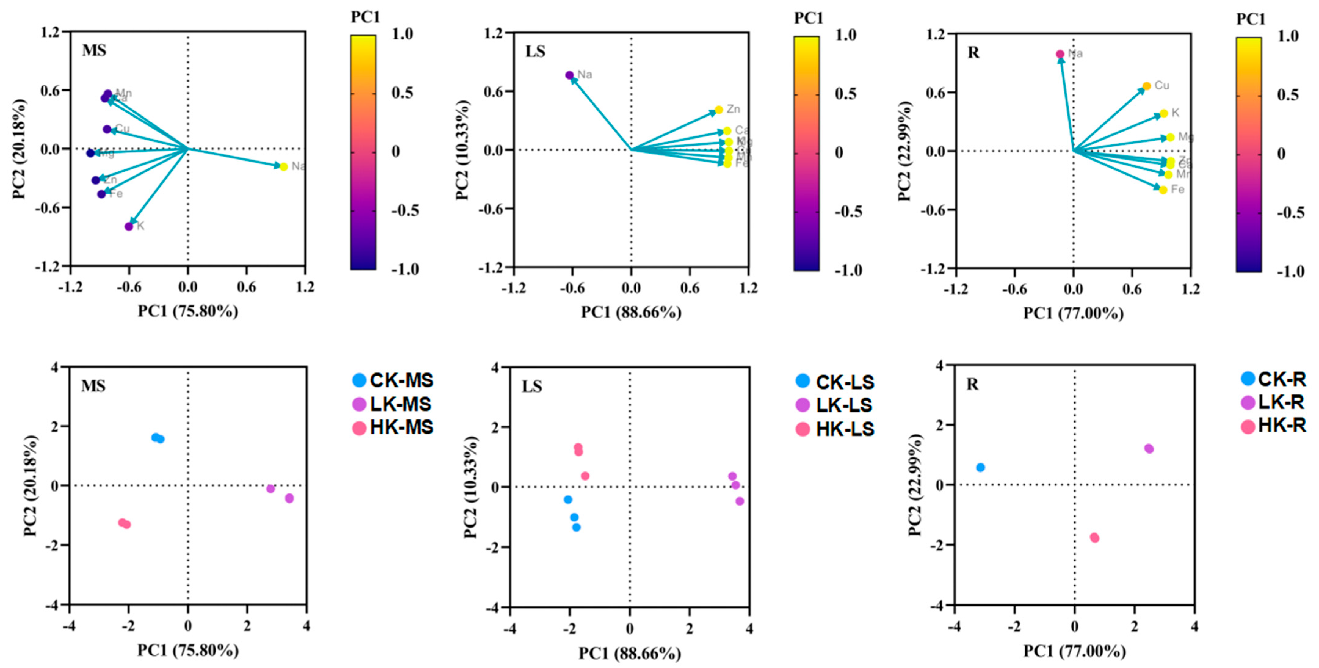 Biology 14 00452 g007