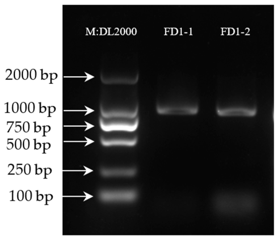 Biology 14 00457 g001