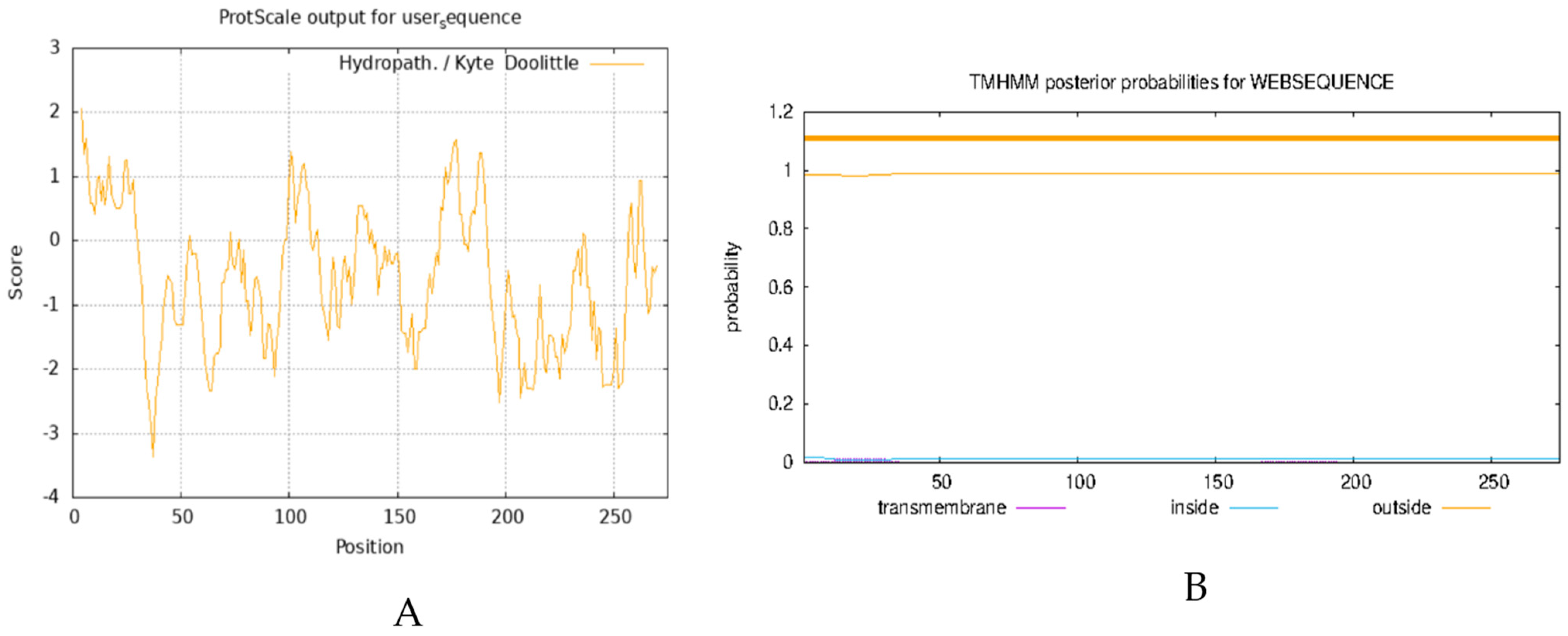 Biology 14 00457 g004