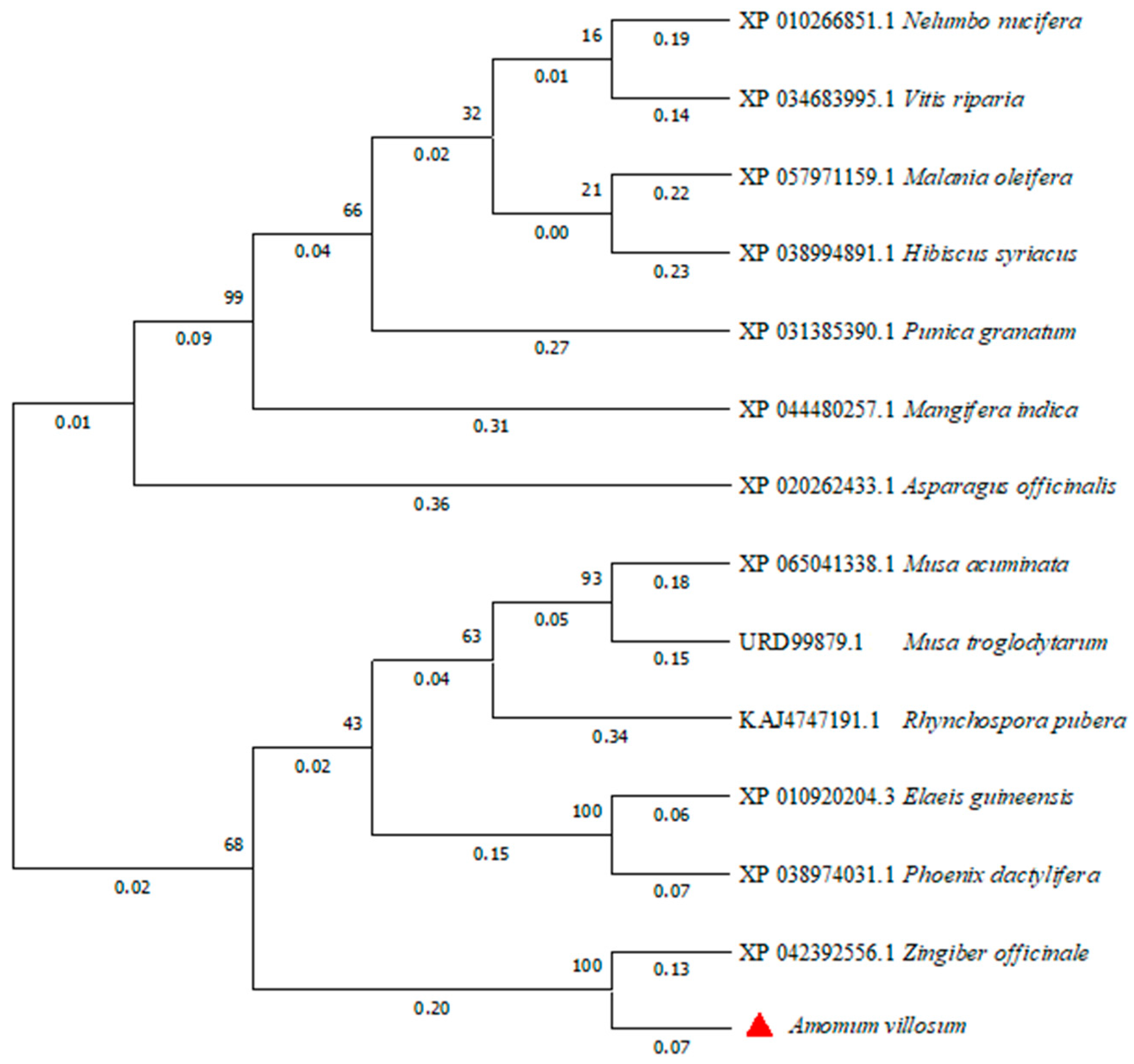Biology 14 00457 g007