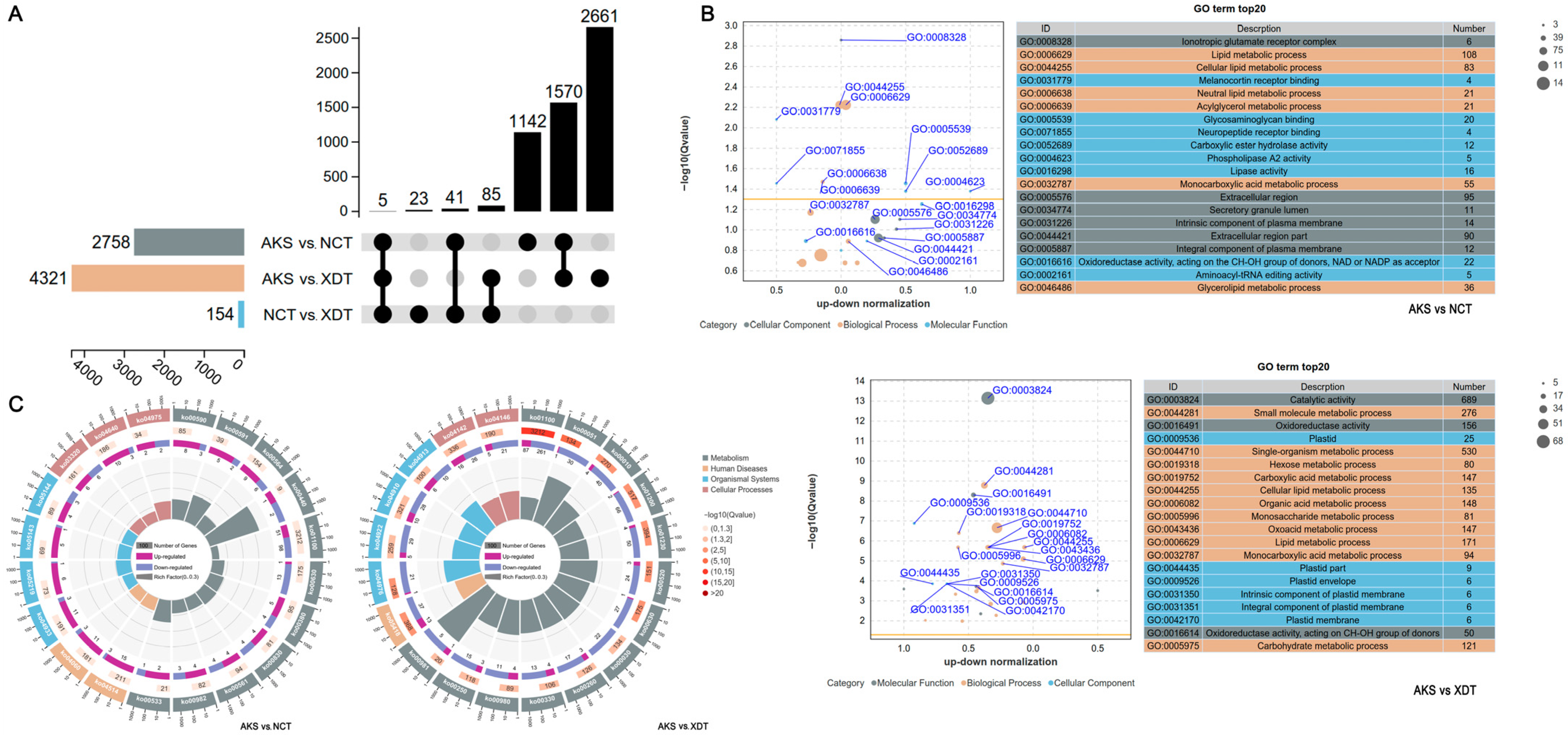 Biology 14 00459 g002