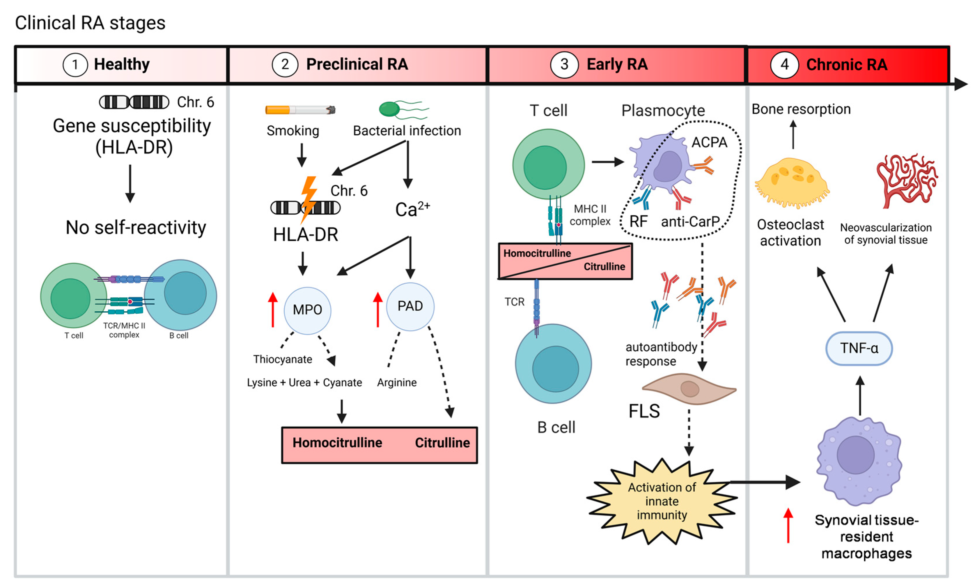 Biology 14 00460 g001