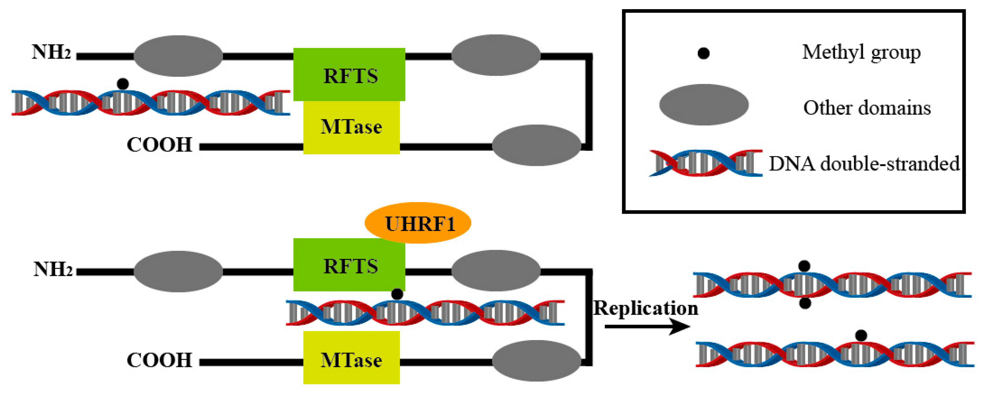 Biology 14 00461 g002 Biology 14 00461 g002