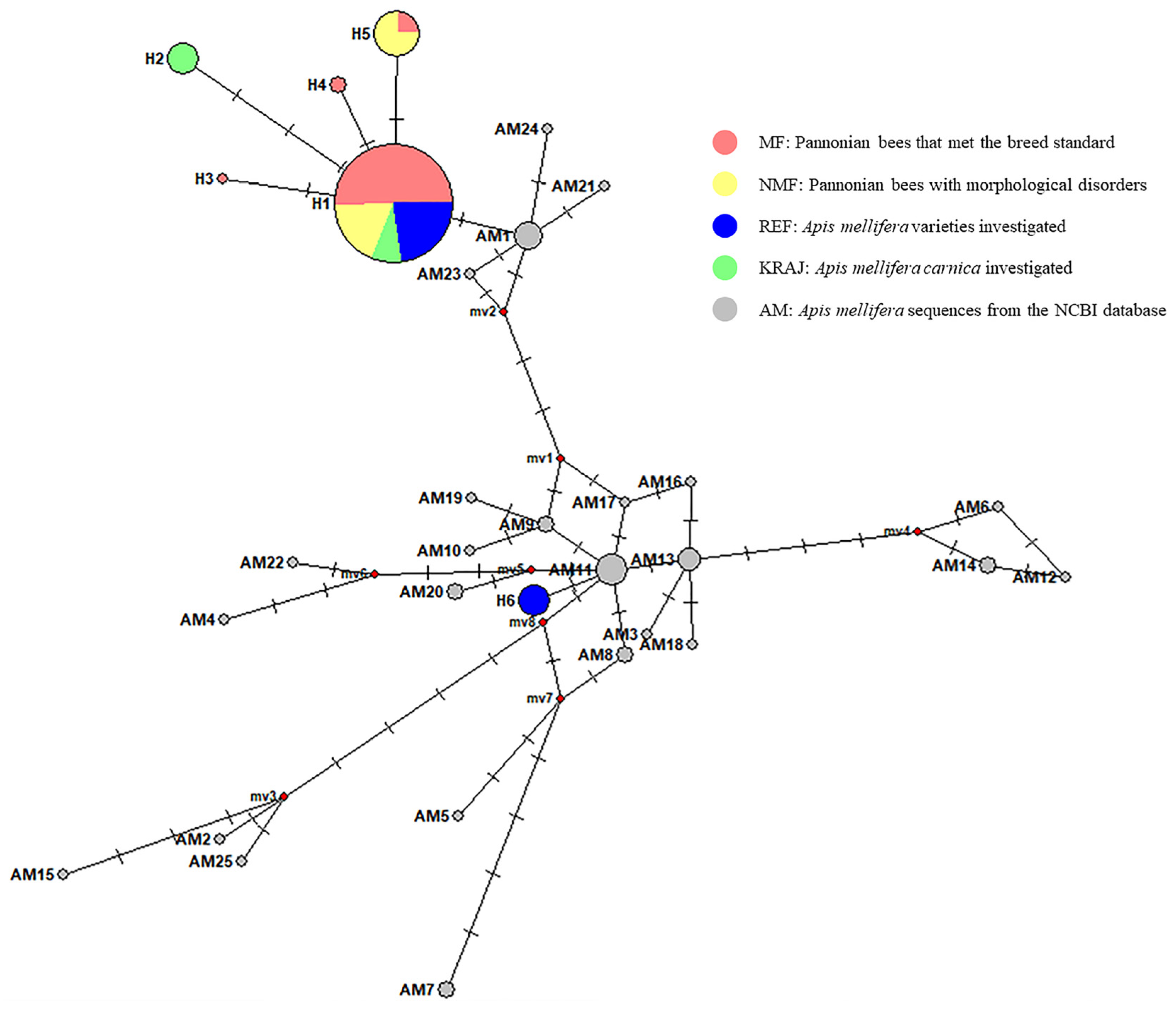 Biology 14 00475 g001