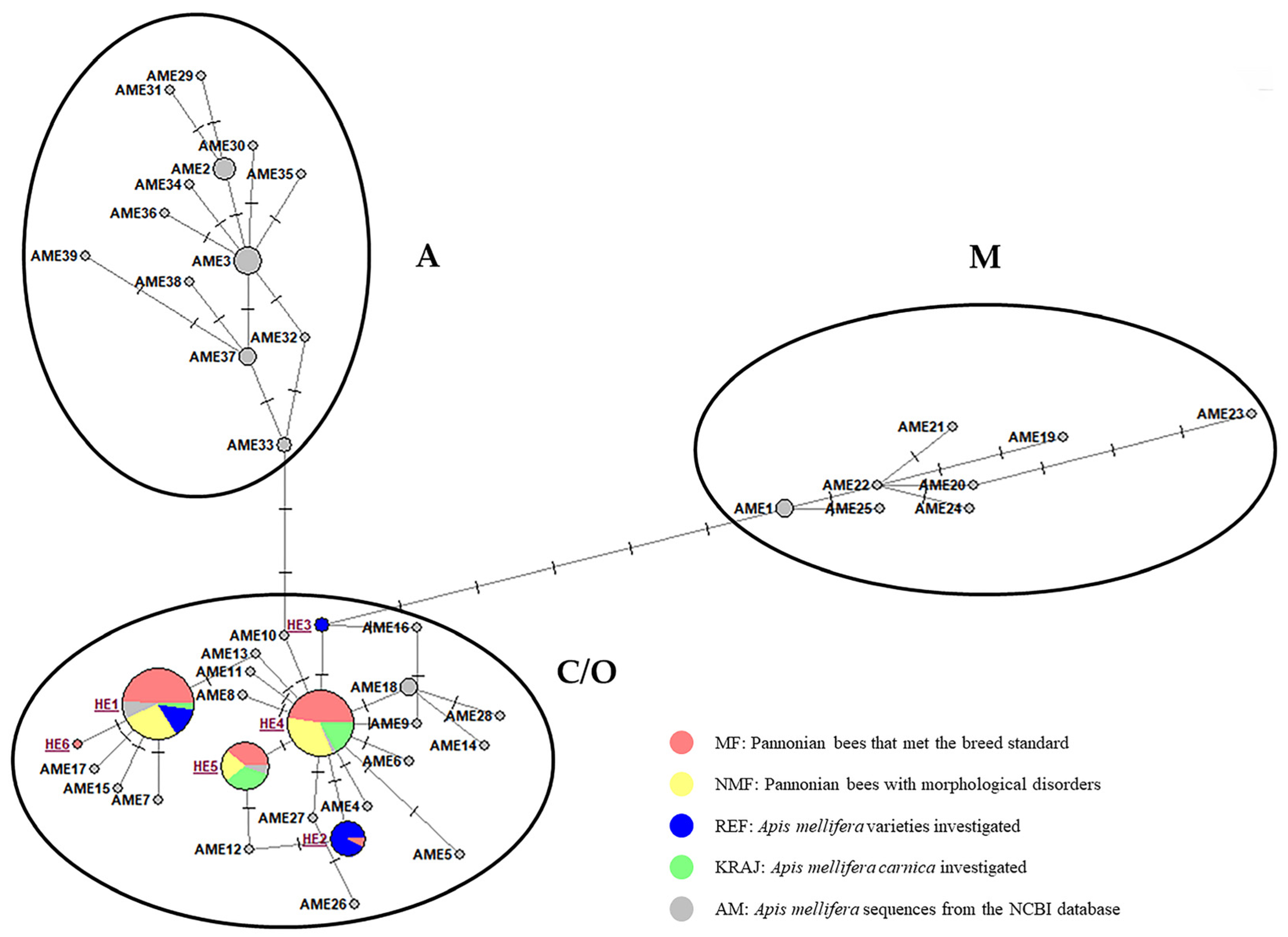 Biology 14 00475 g002