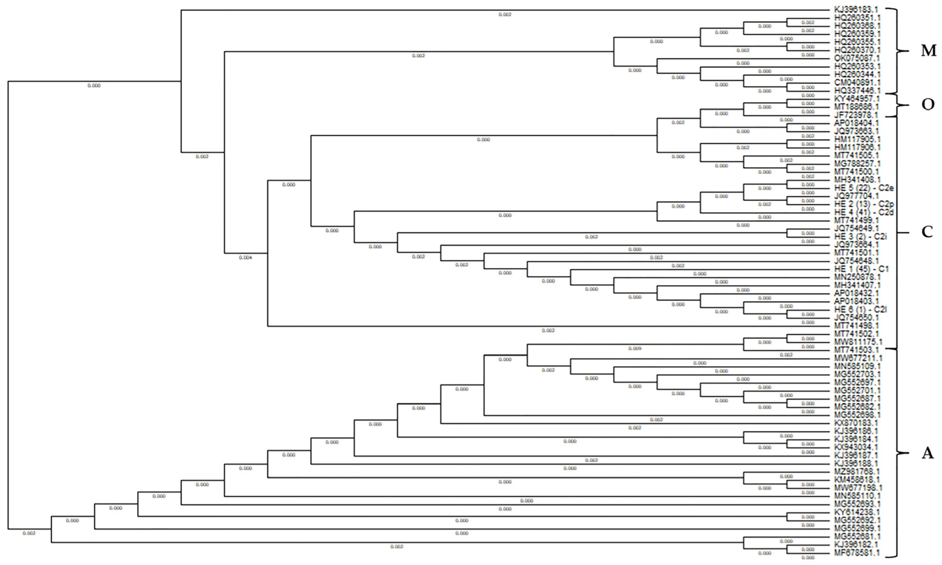 Biology 14 00475 g003