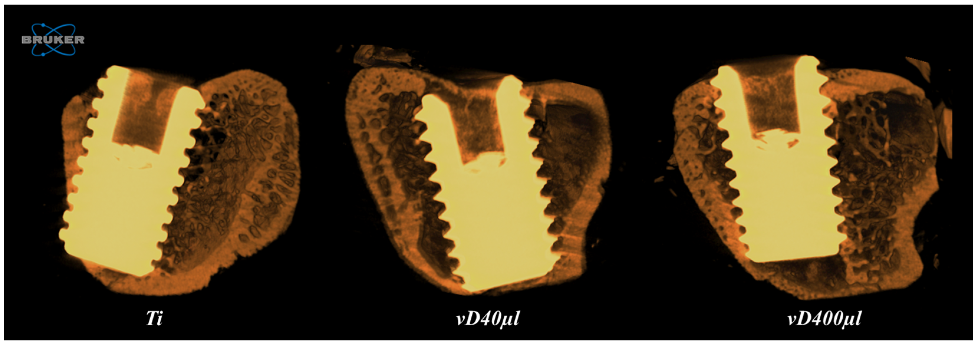 Biology 14 00476 g001