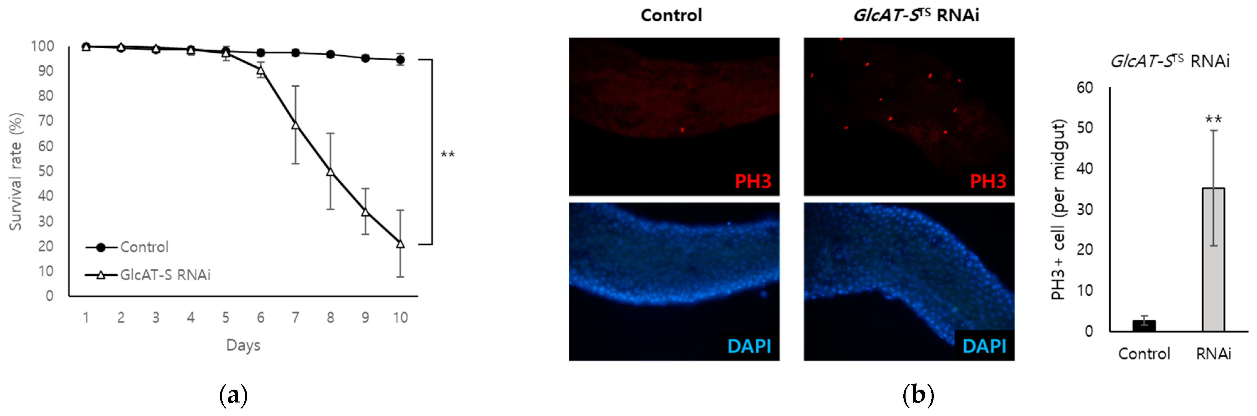 Biology 14 00513 g003