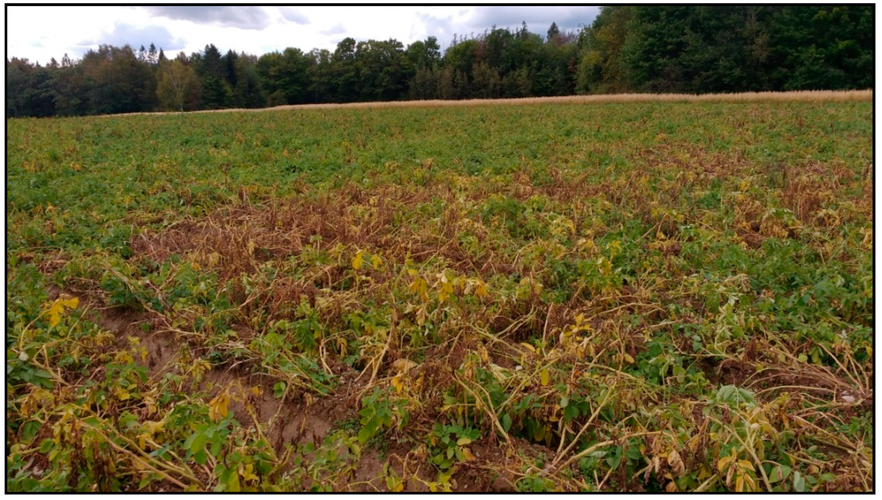 Biology 14 00514 g004