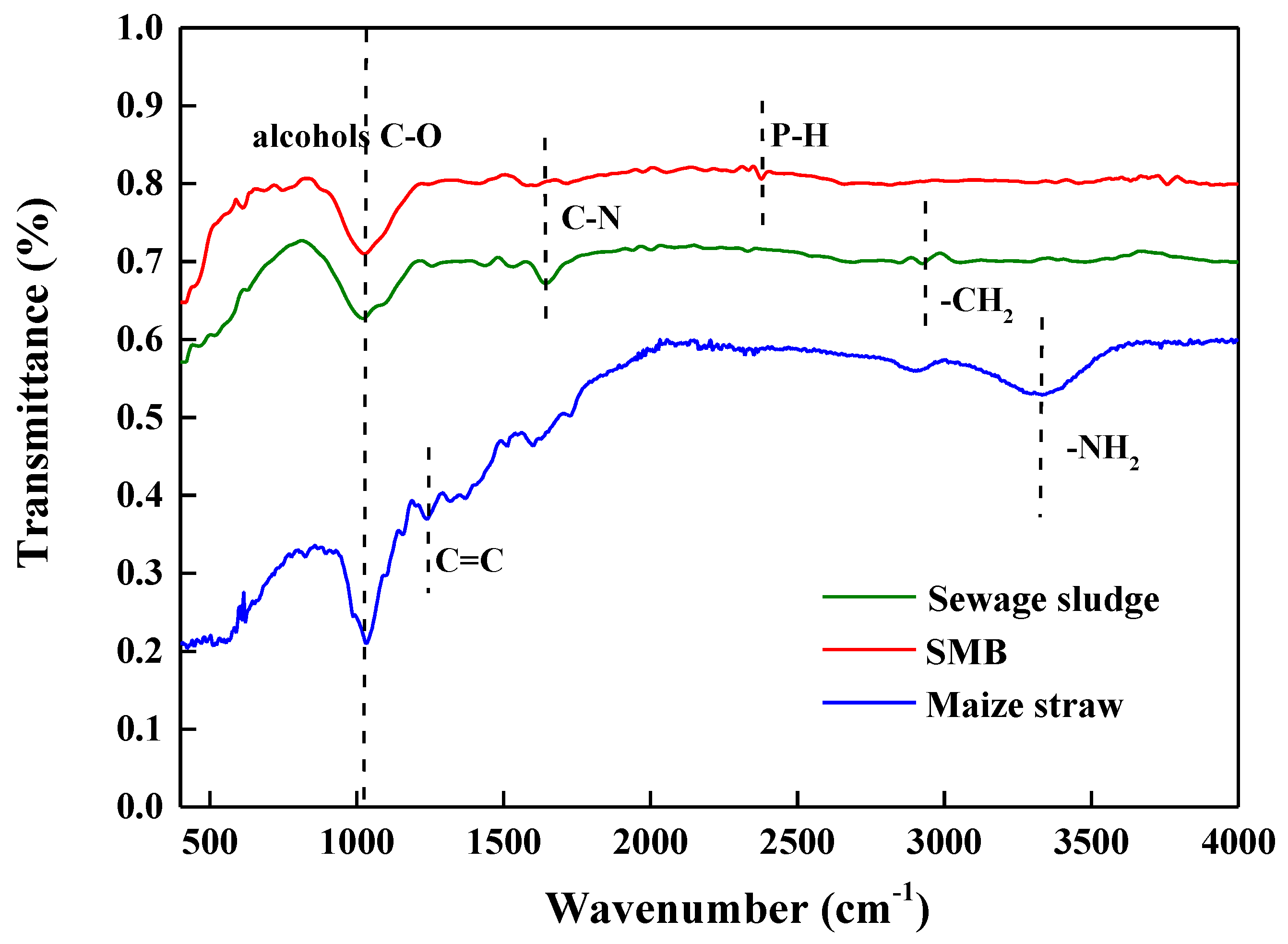Biology 14 00515 g002