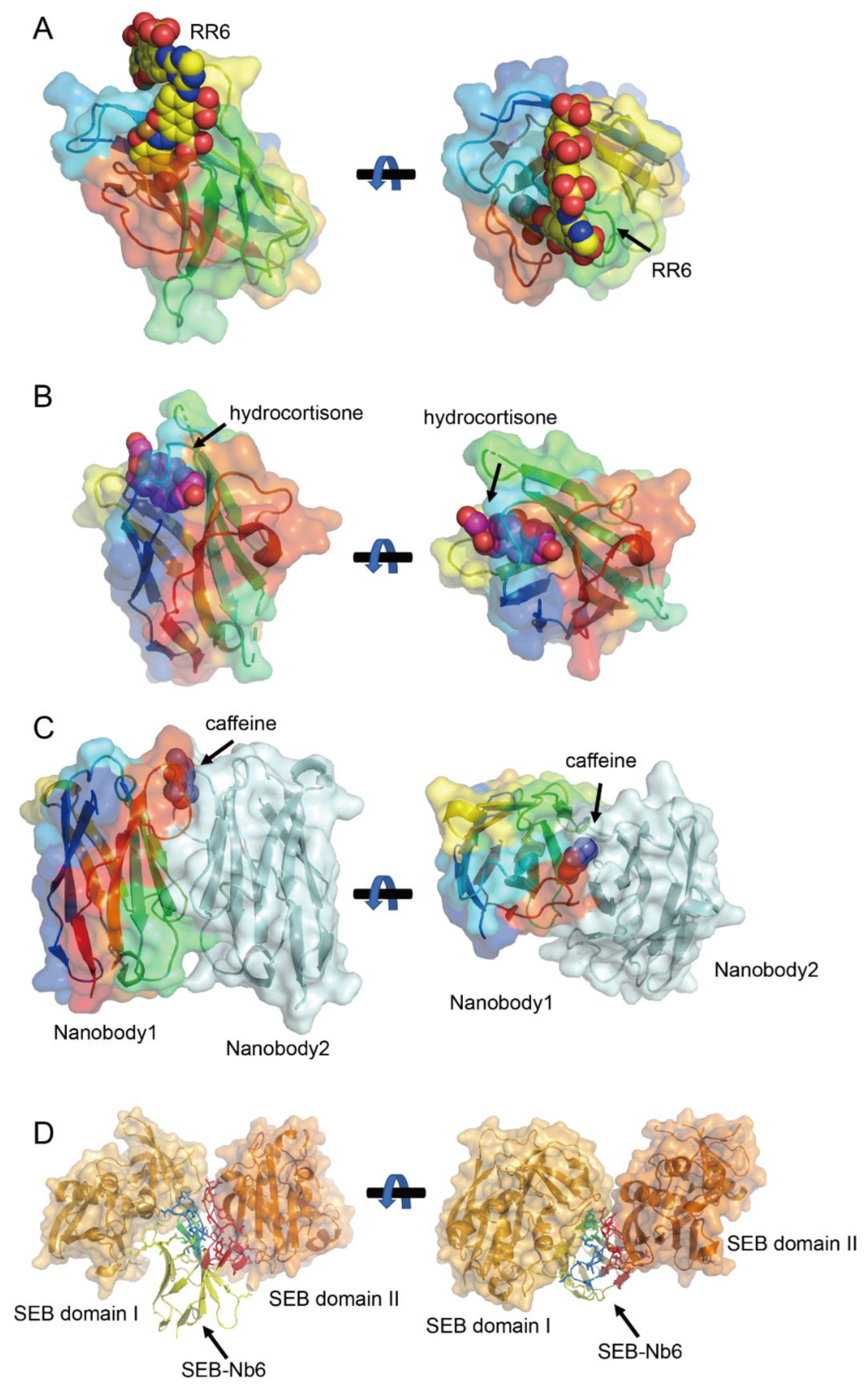 Biology 14 00547 g004