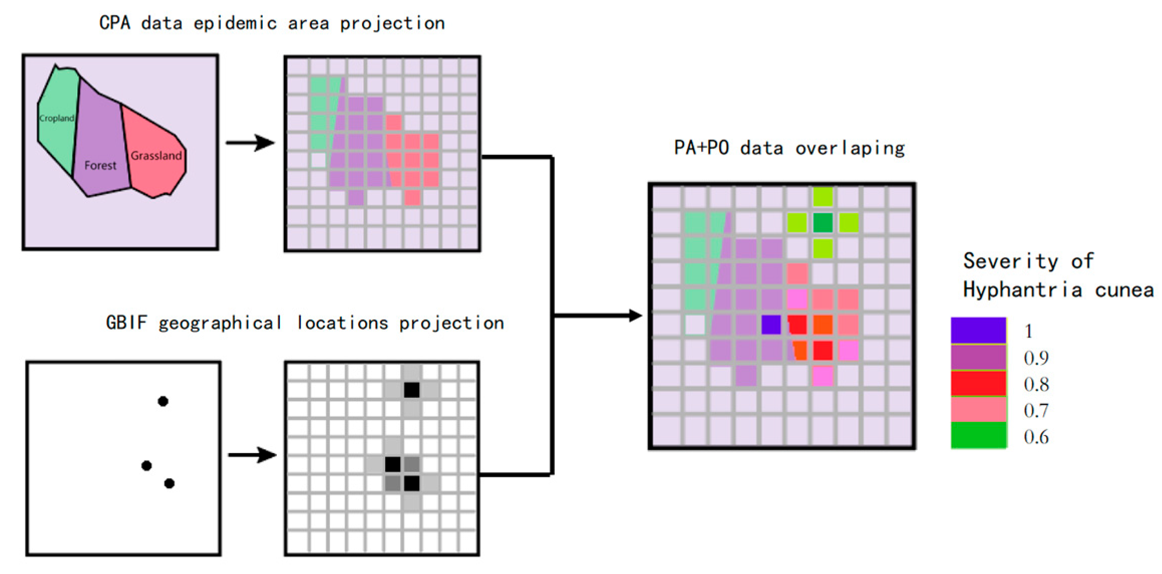Biology 14 00552 g003
