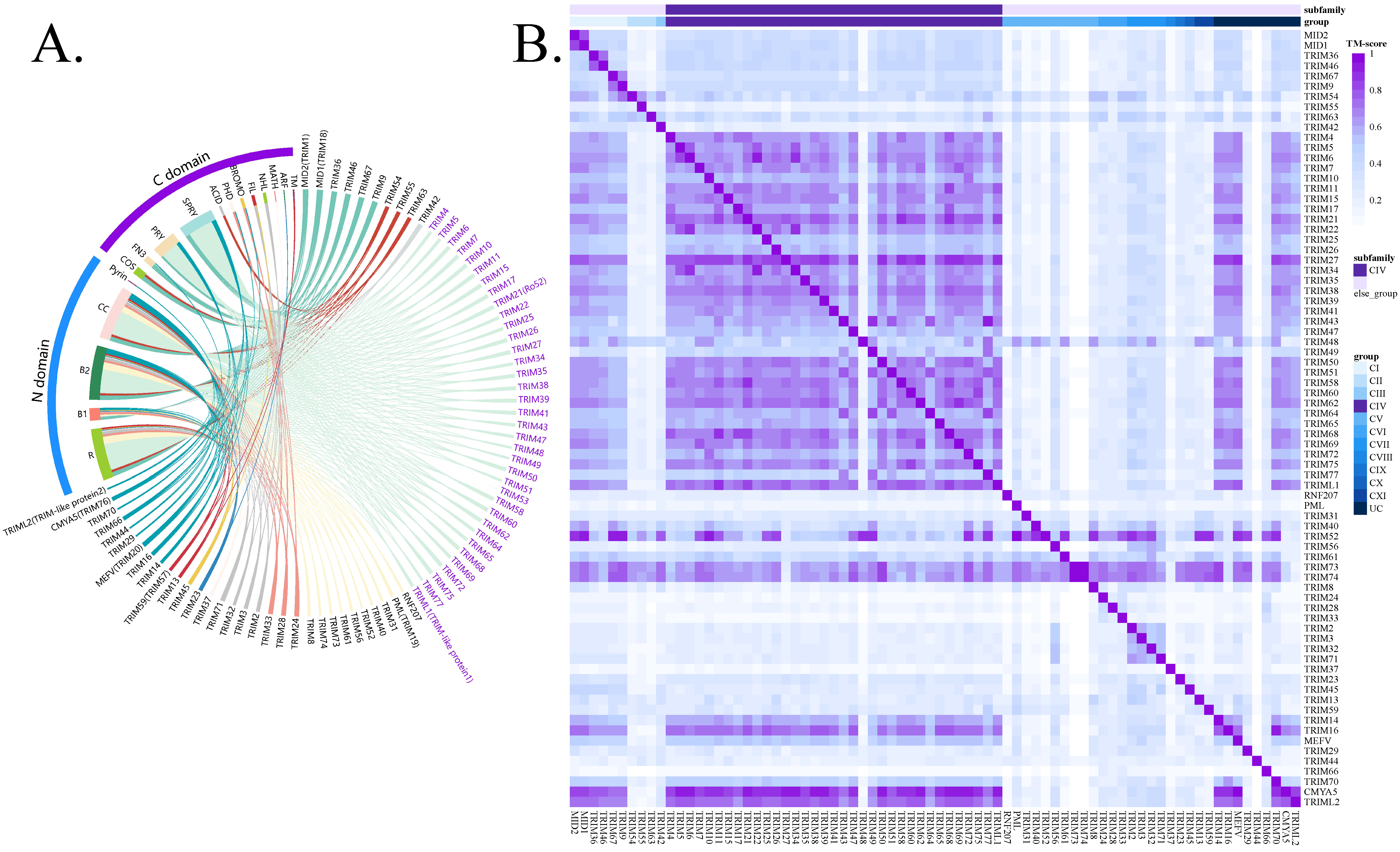 Biology 14 00742 g001