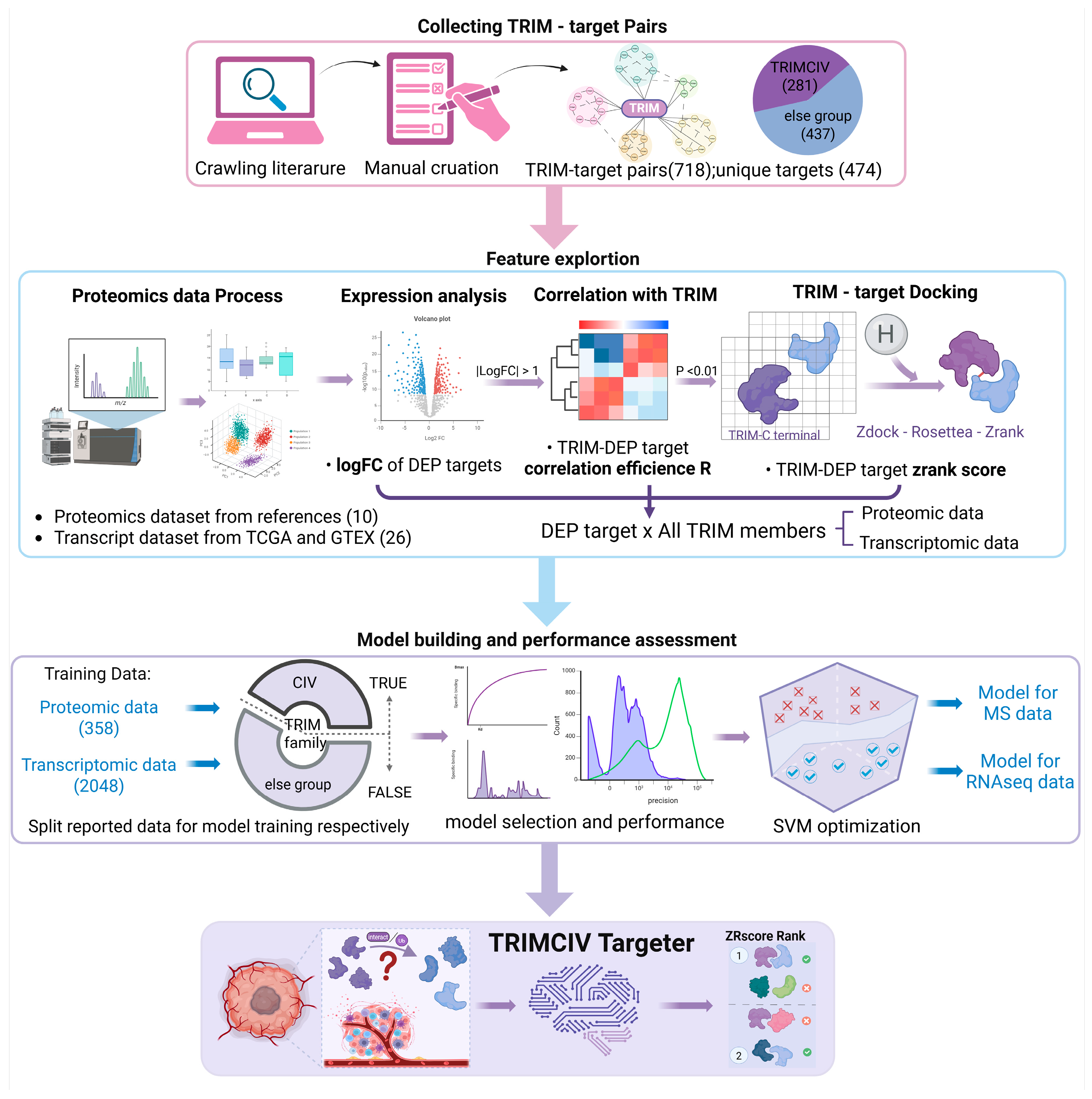 Biology 14 00742 g002