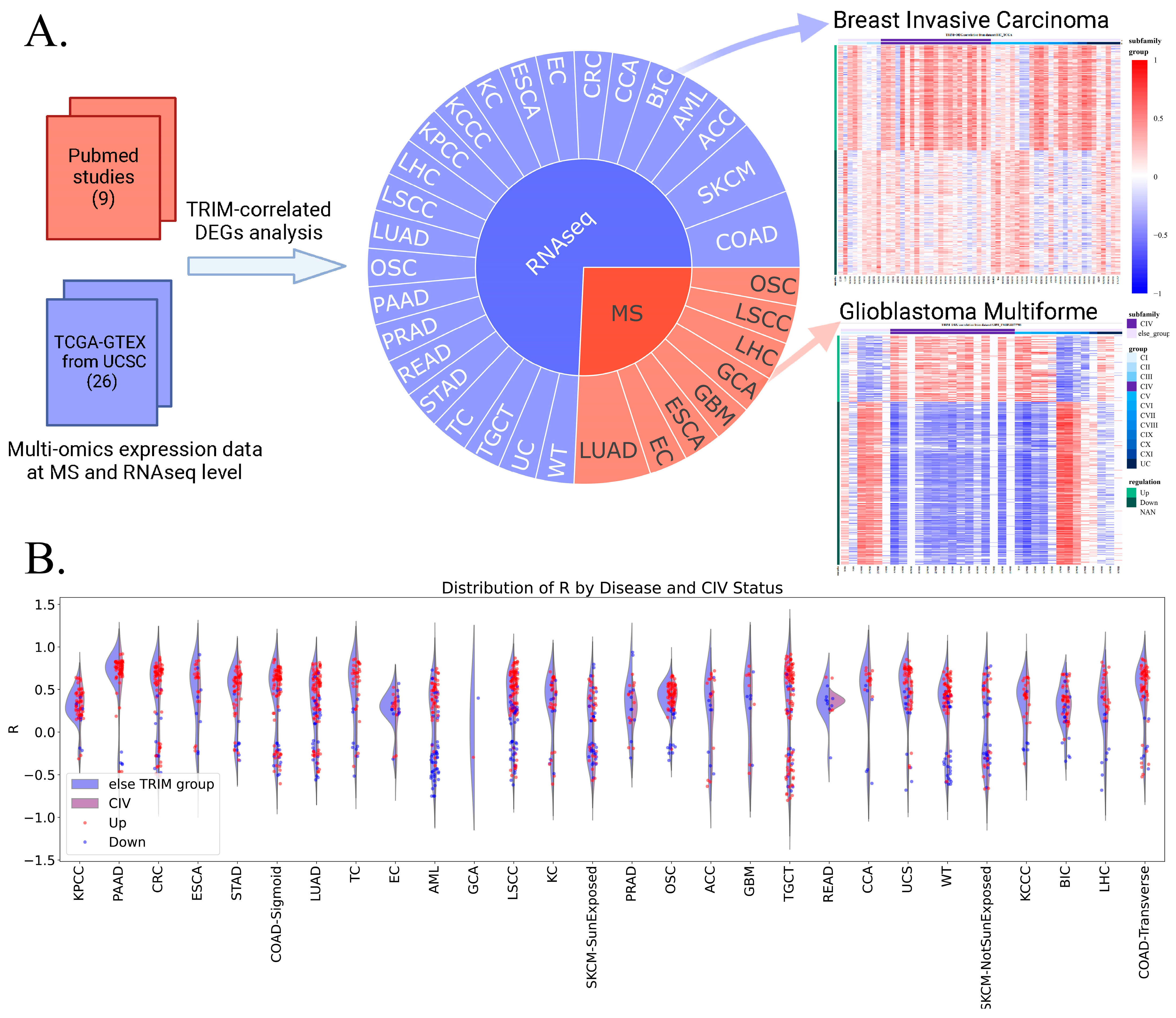 Biology 14 00742 g003