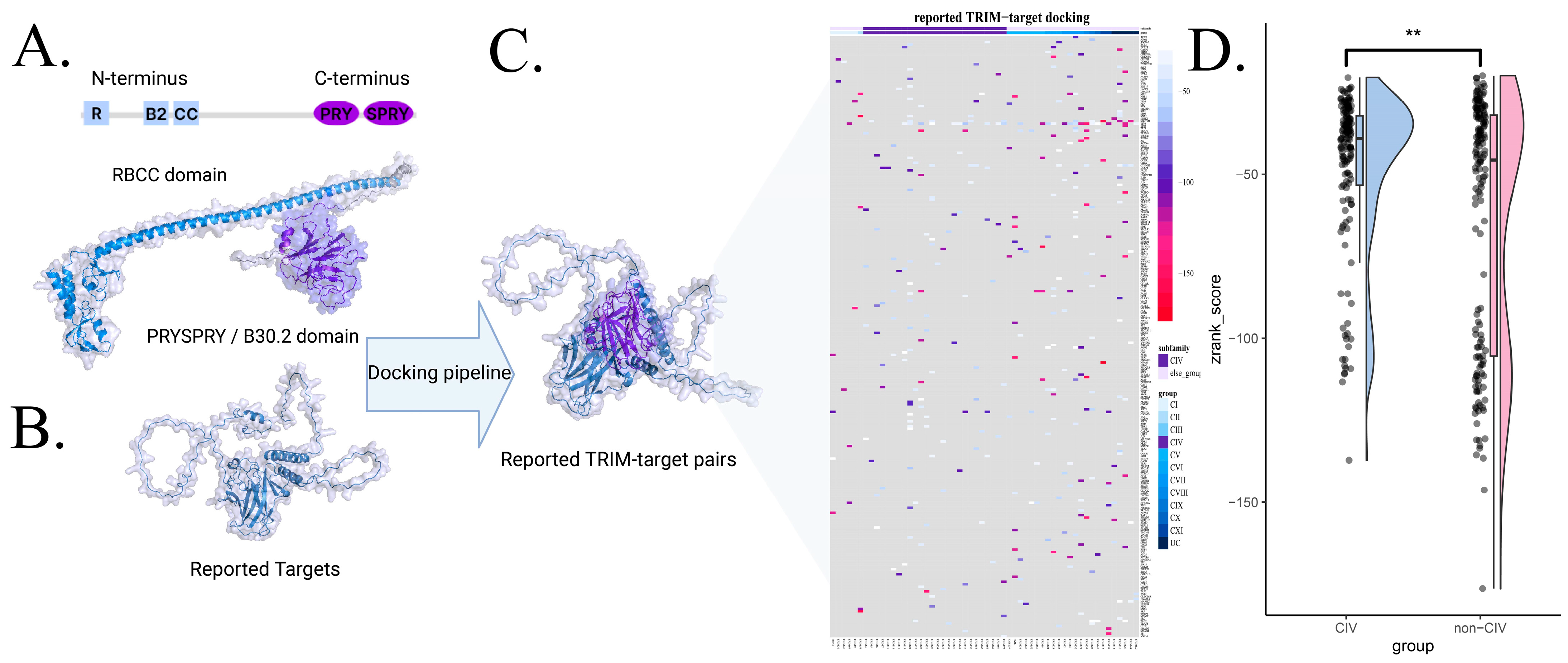 Biology 14 00742 g004