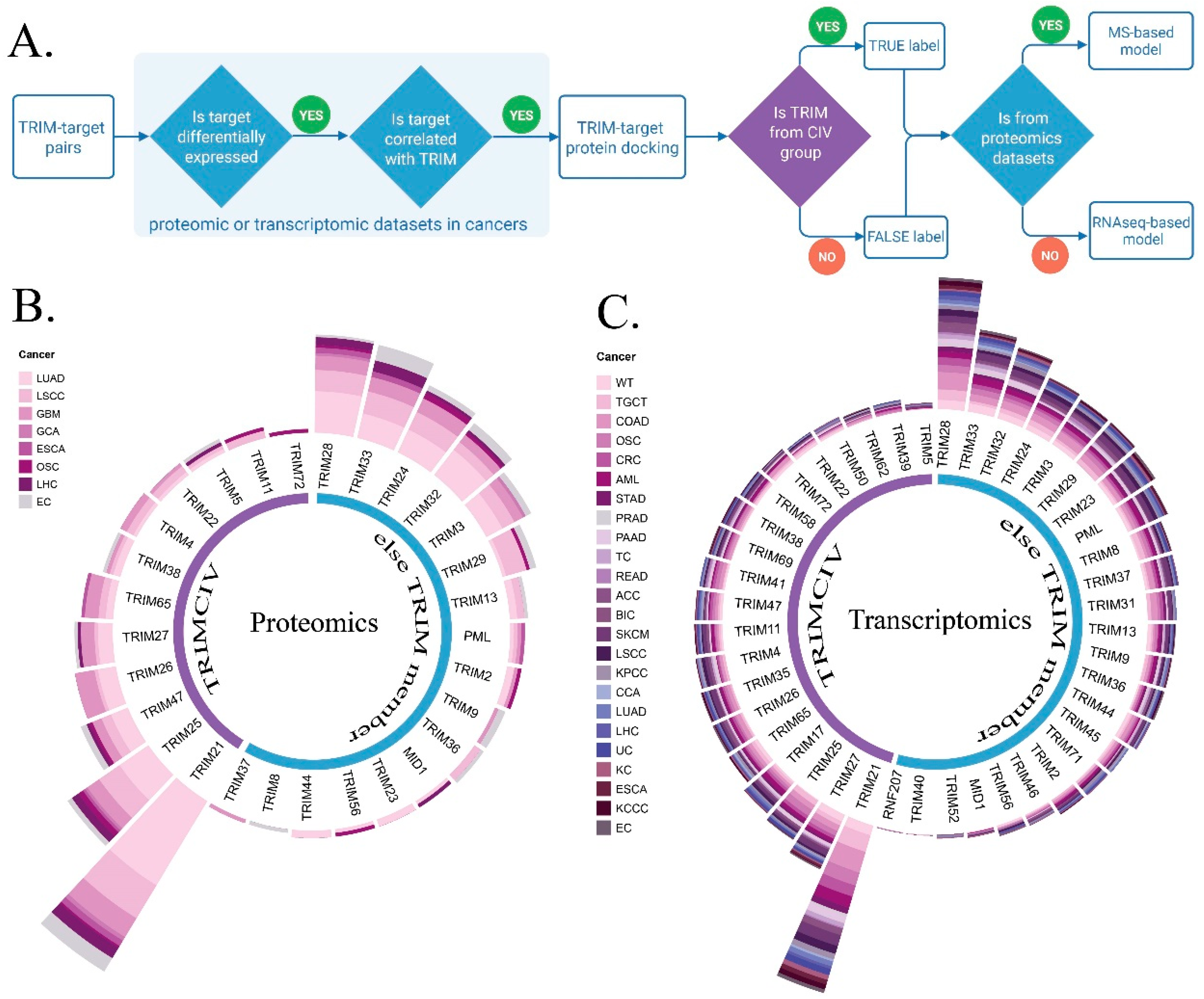 Biology 14 00742 g005