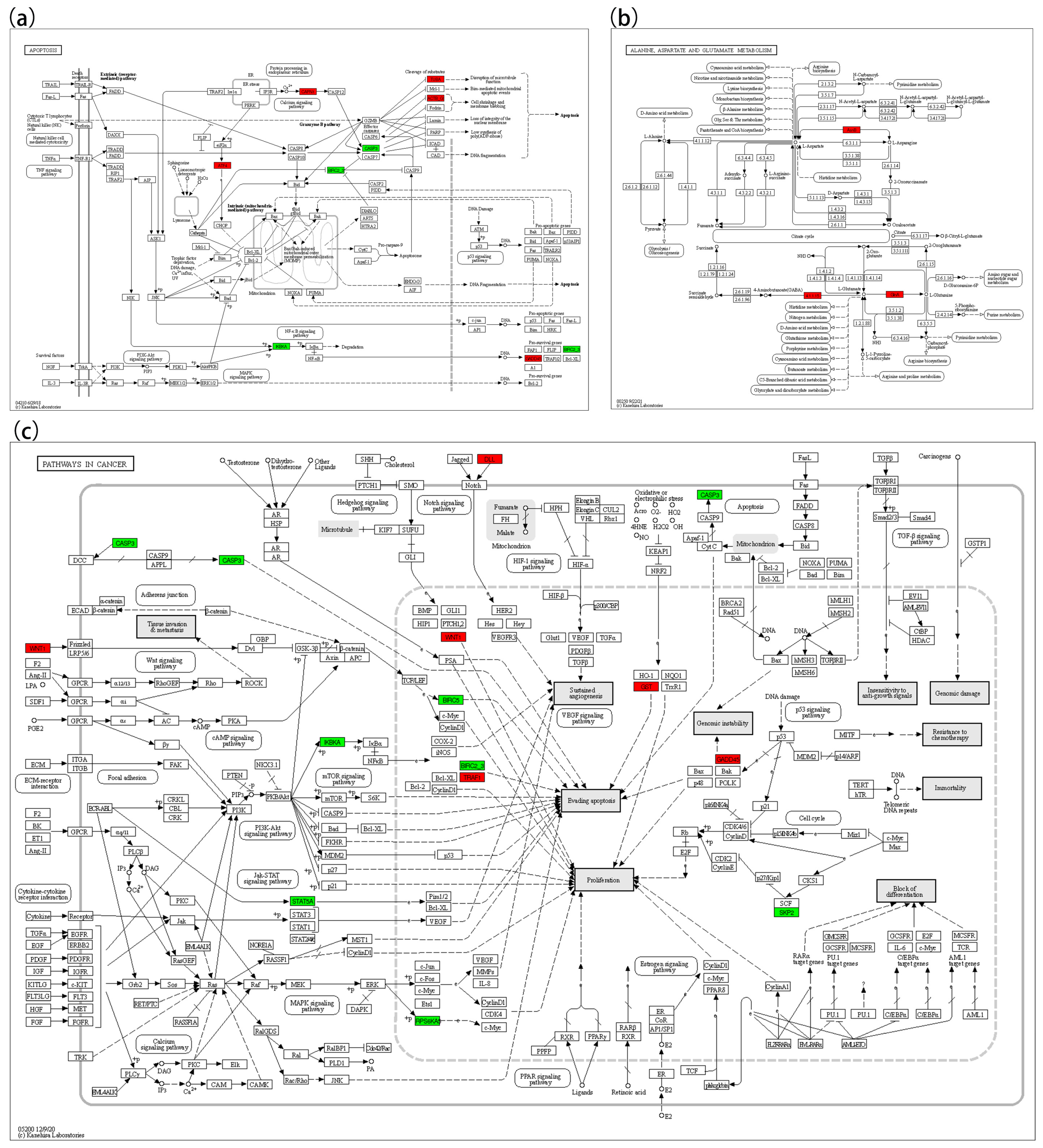 Biology 14 00759 g007