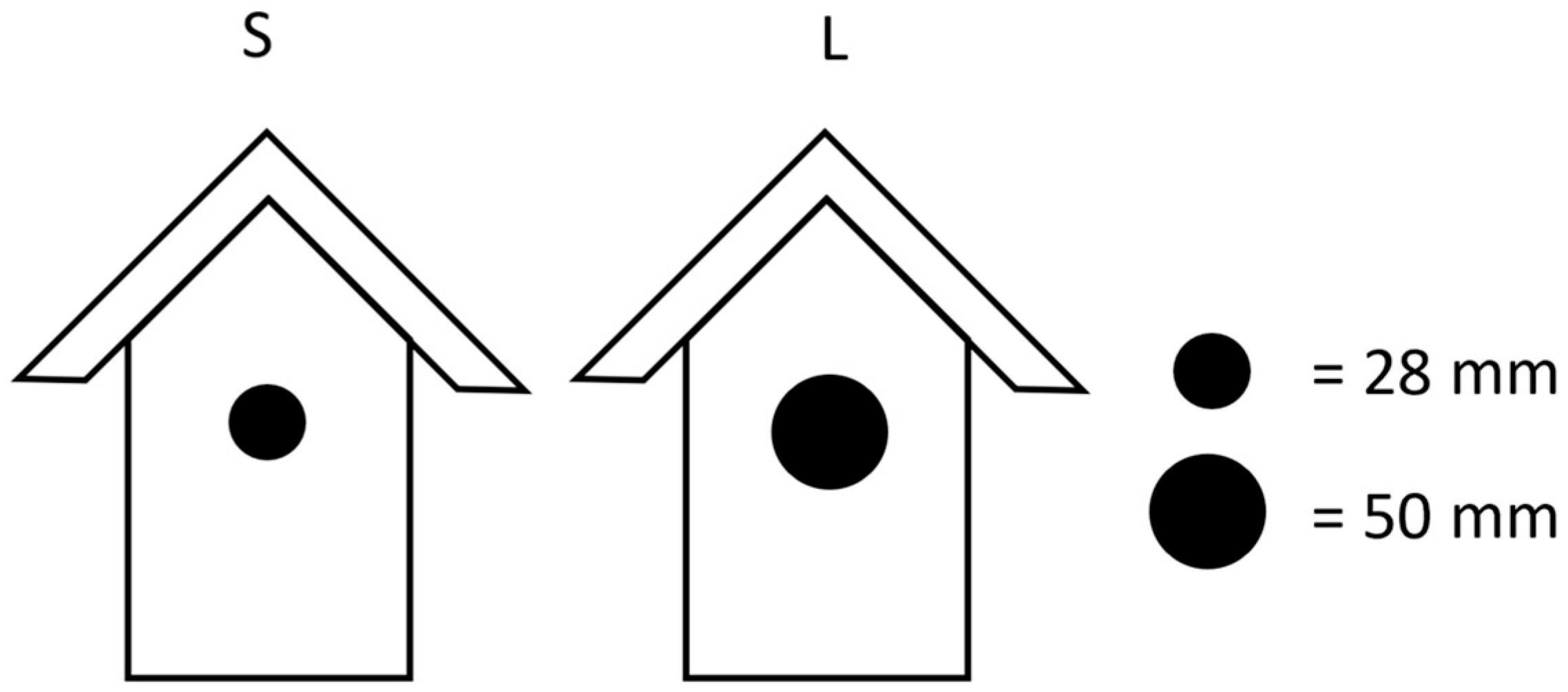 Biology 14 00828 g001