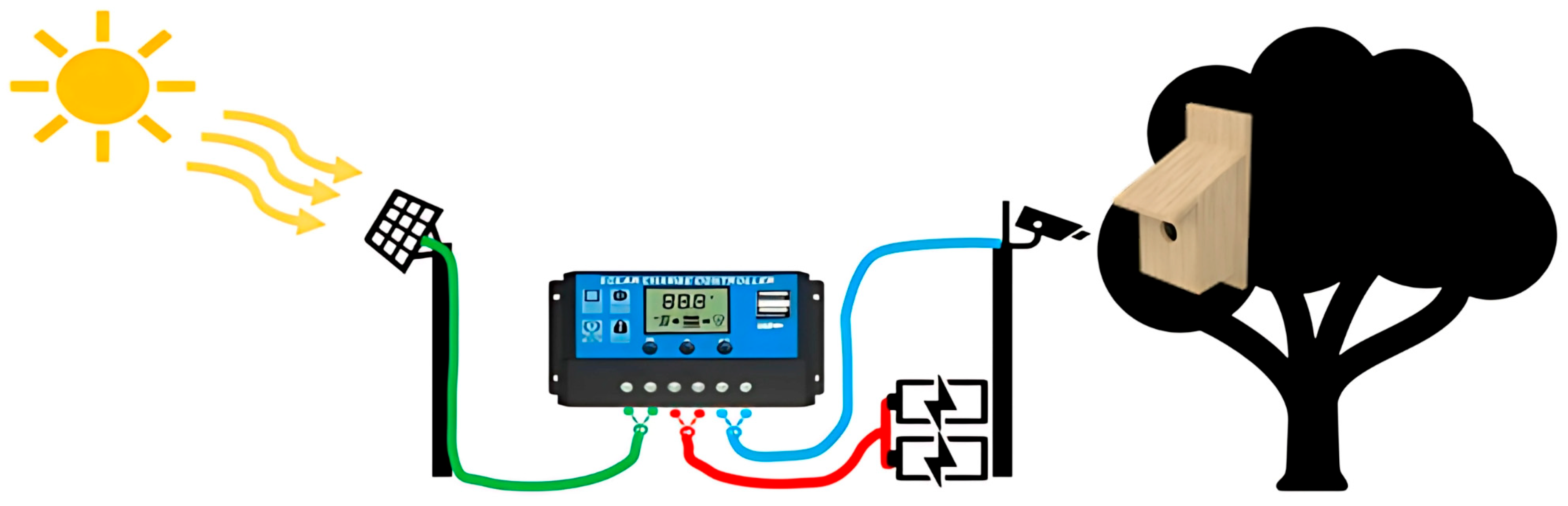 Biology 14 00828 g002