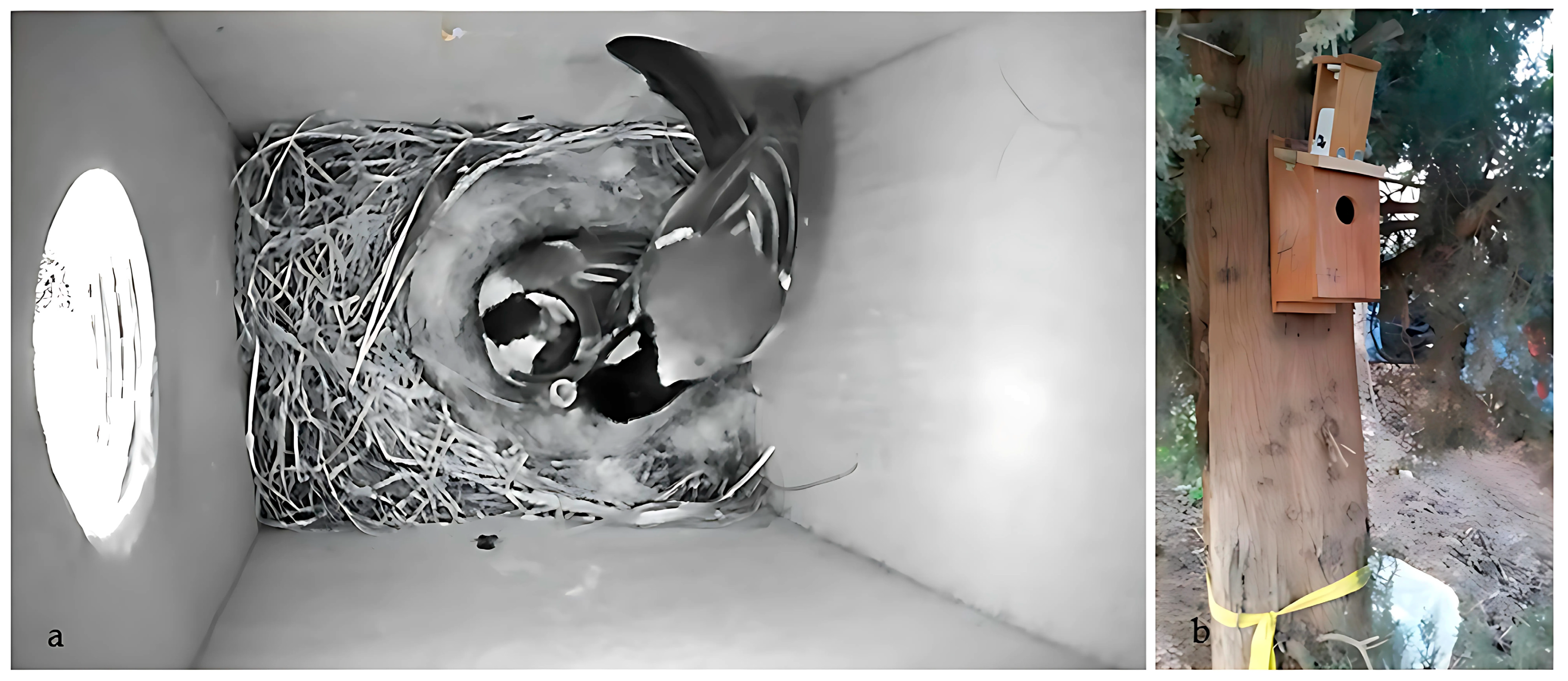 Biology 14 00828 g003