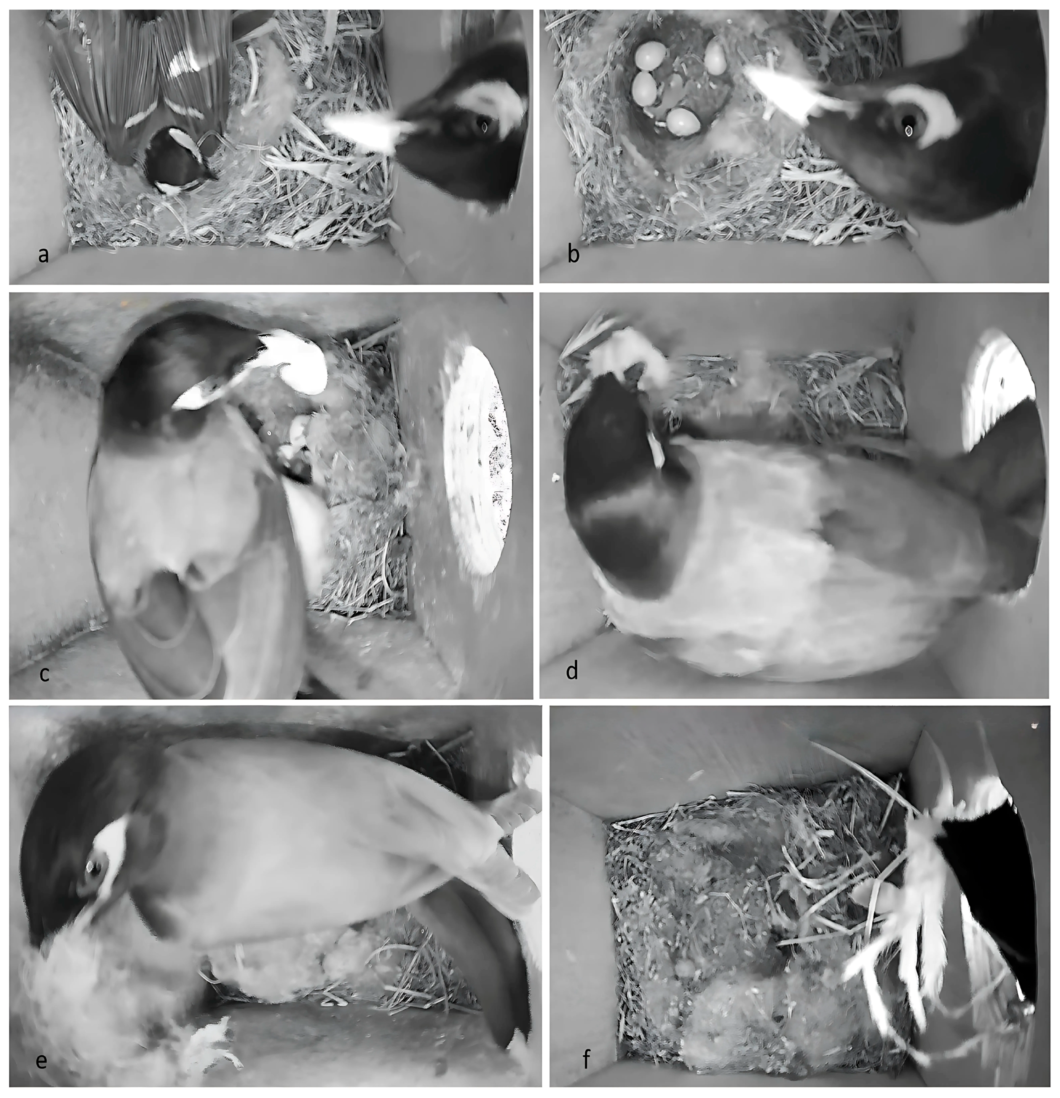 Biology 14 00828 g008