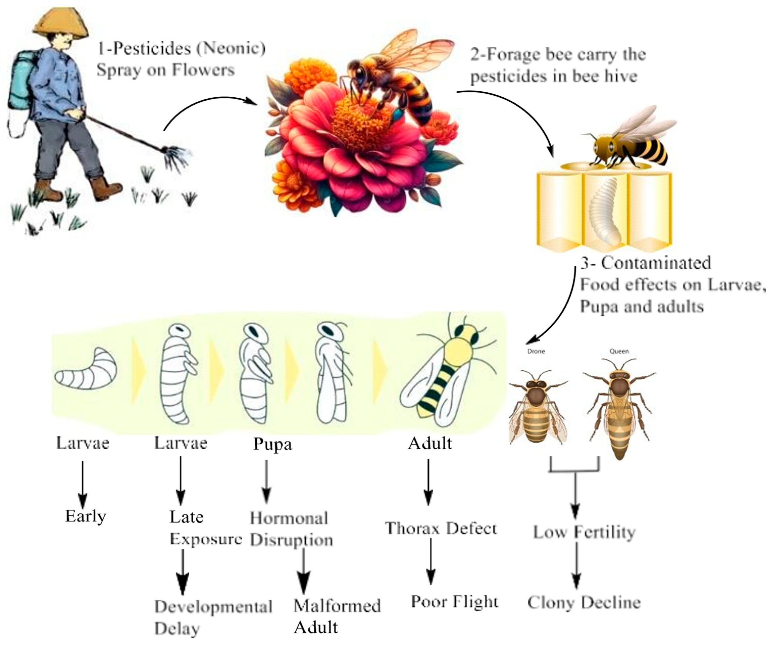 Biology 14 01076 g003 Biology 14 01076 g003