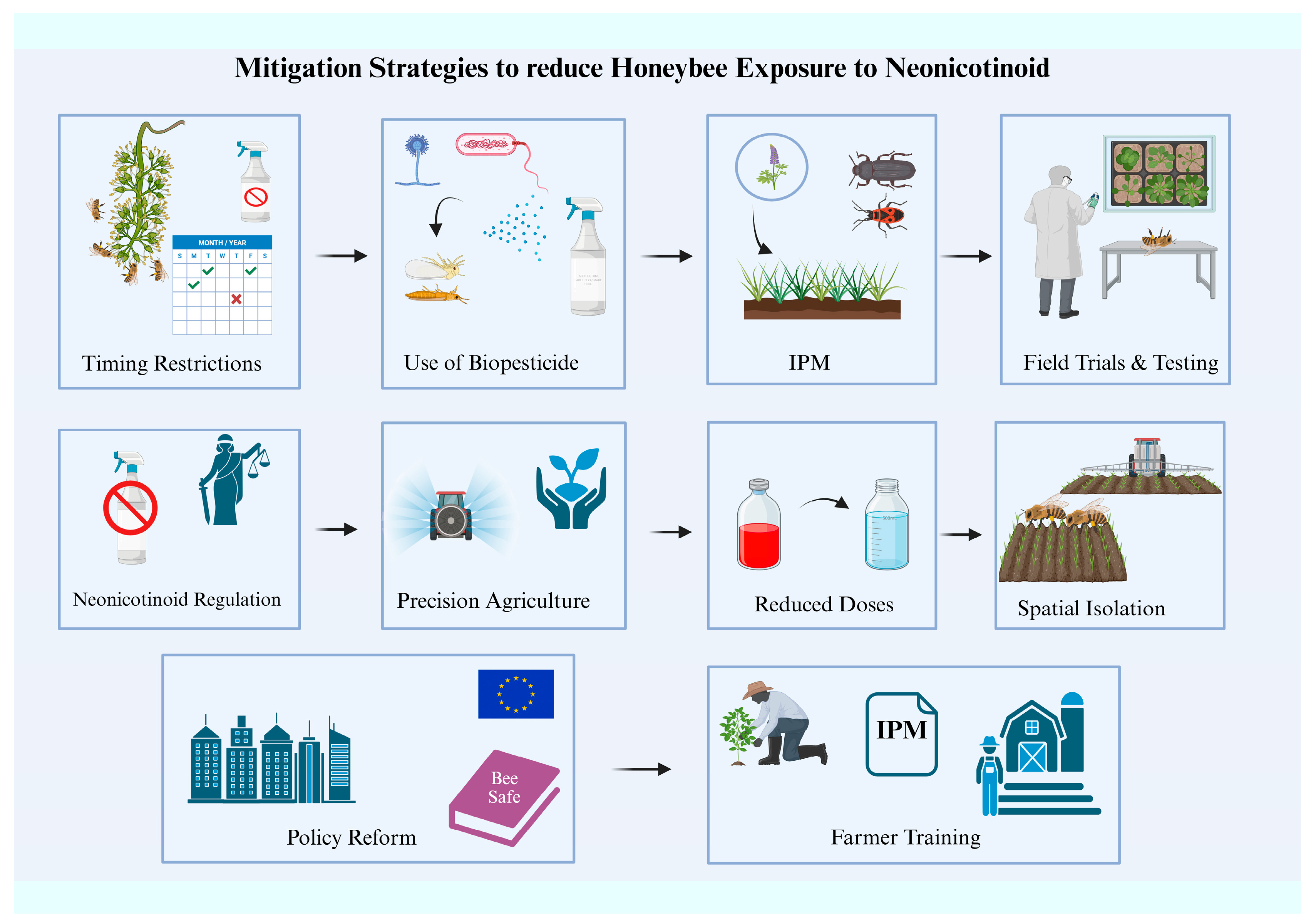 Biology 14 01076 g004 Biology 14 01076 g004