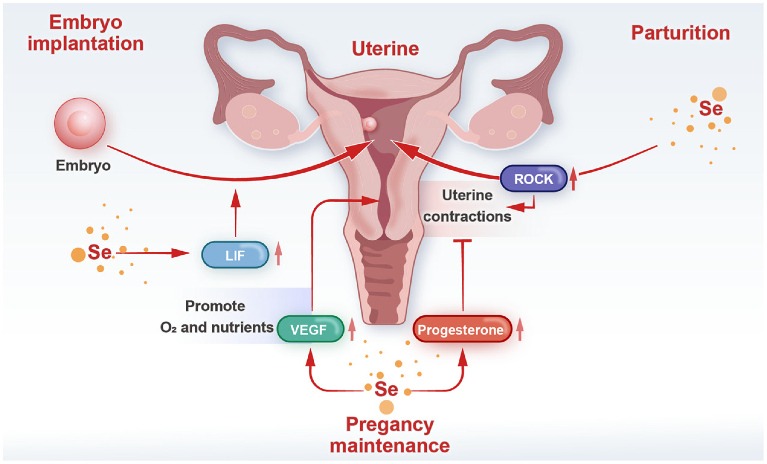 Biology 14 01295 g003 Biology 14 01295 g003