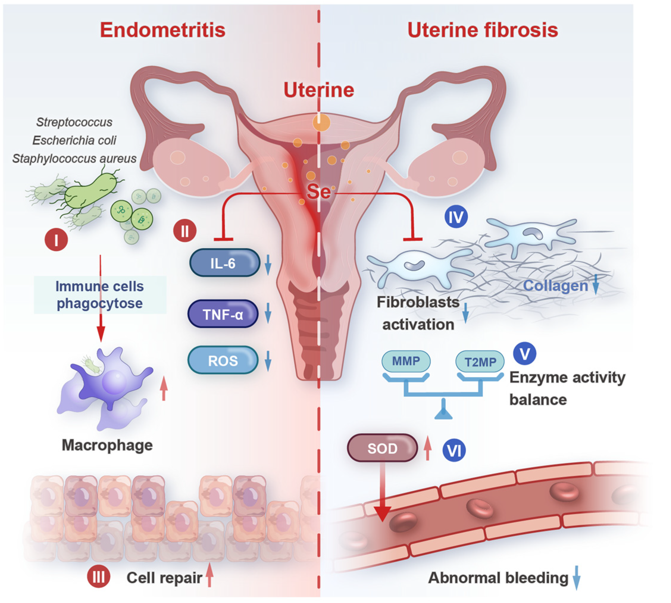 Biology 14 01295 g004 Biology 14 01295 g004