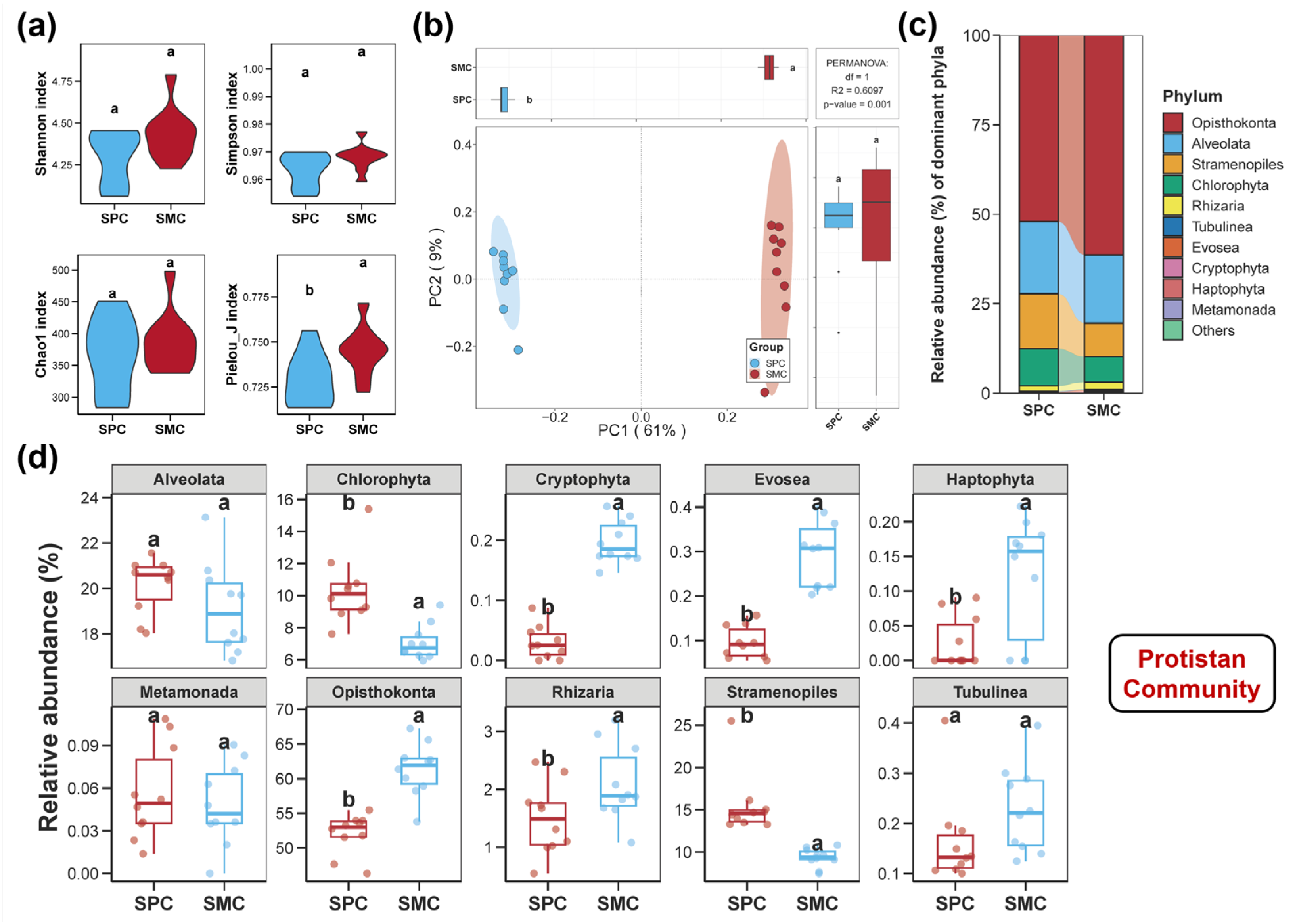 Biology 14 01297 g003 Biology 14 01297 g003