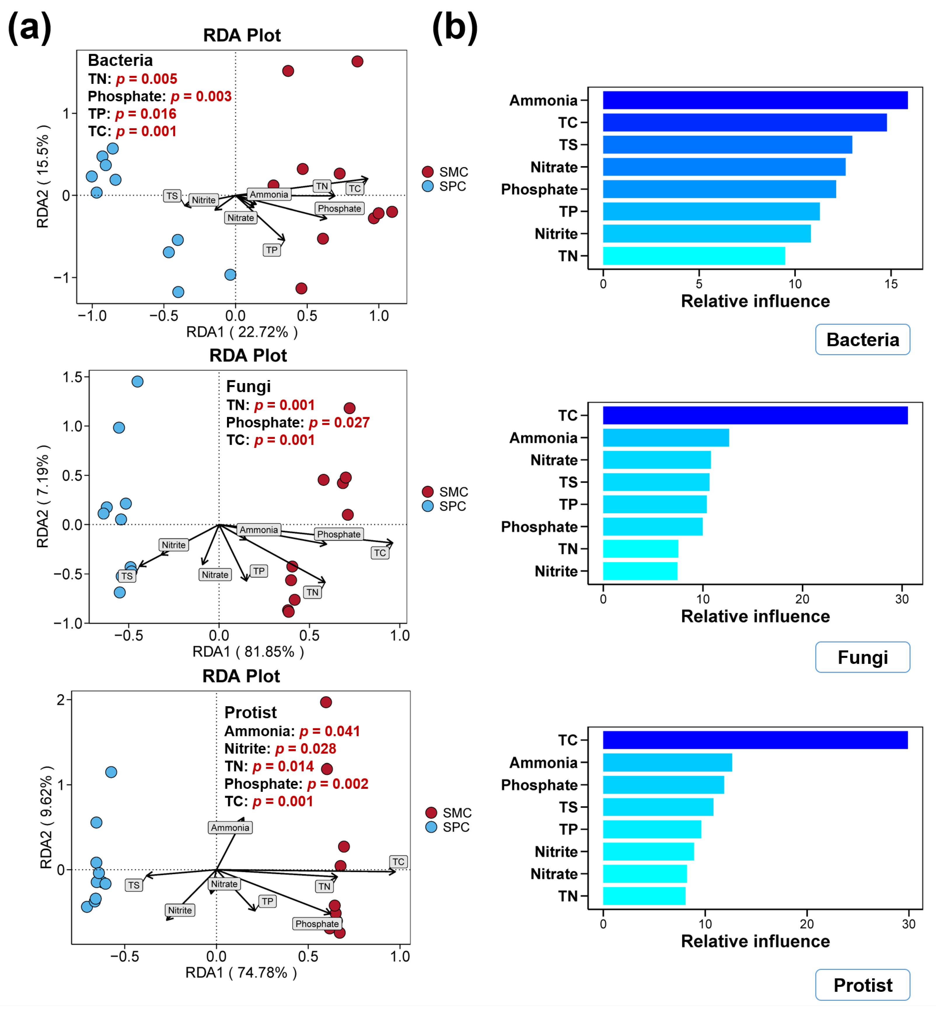 Biology 14 01297 g007 Biology 14 01297 g007