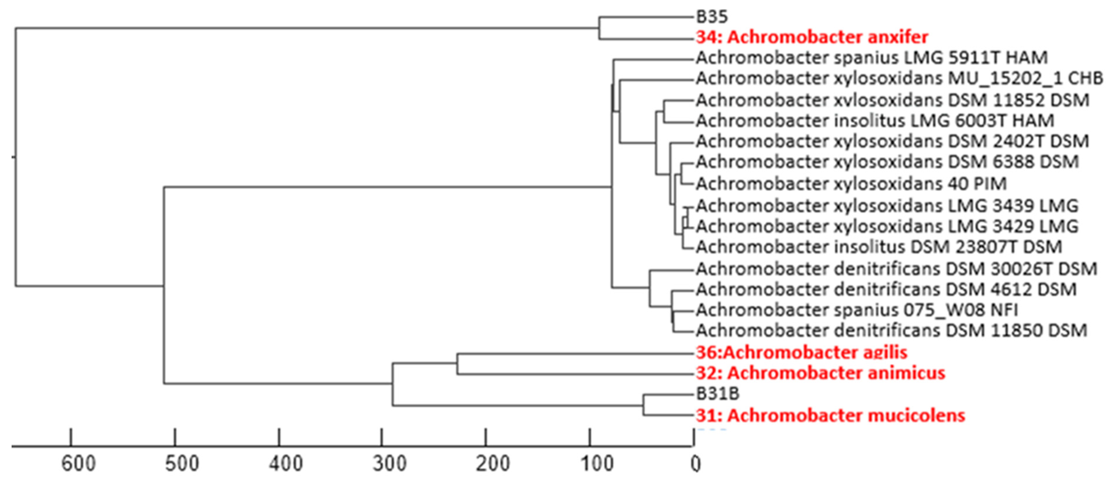 Biology 14 01307 g003 Biology 14 01307 g003