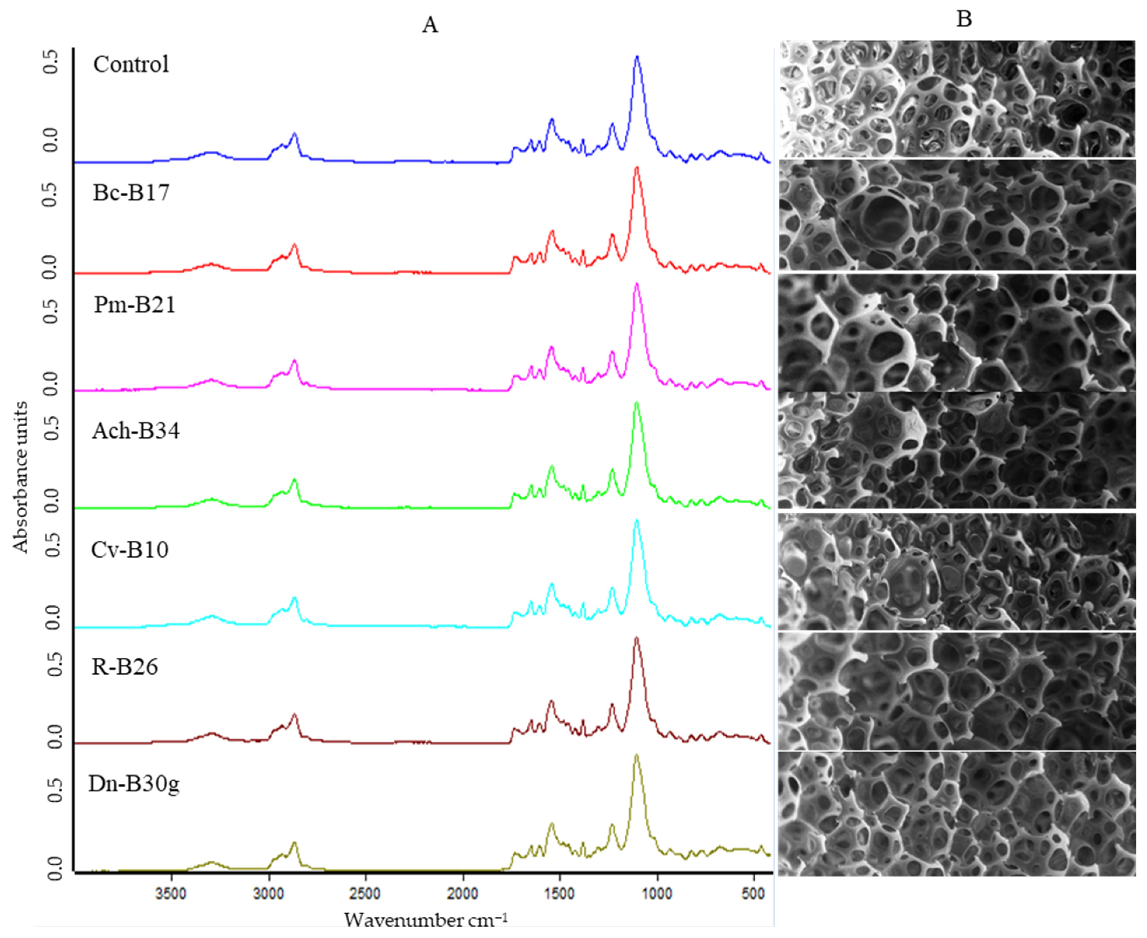 Biology 14 01307 g008 Biology 14 01307 g008
