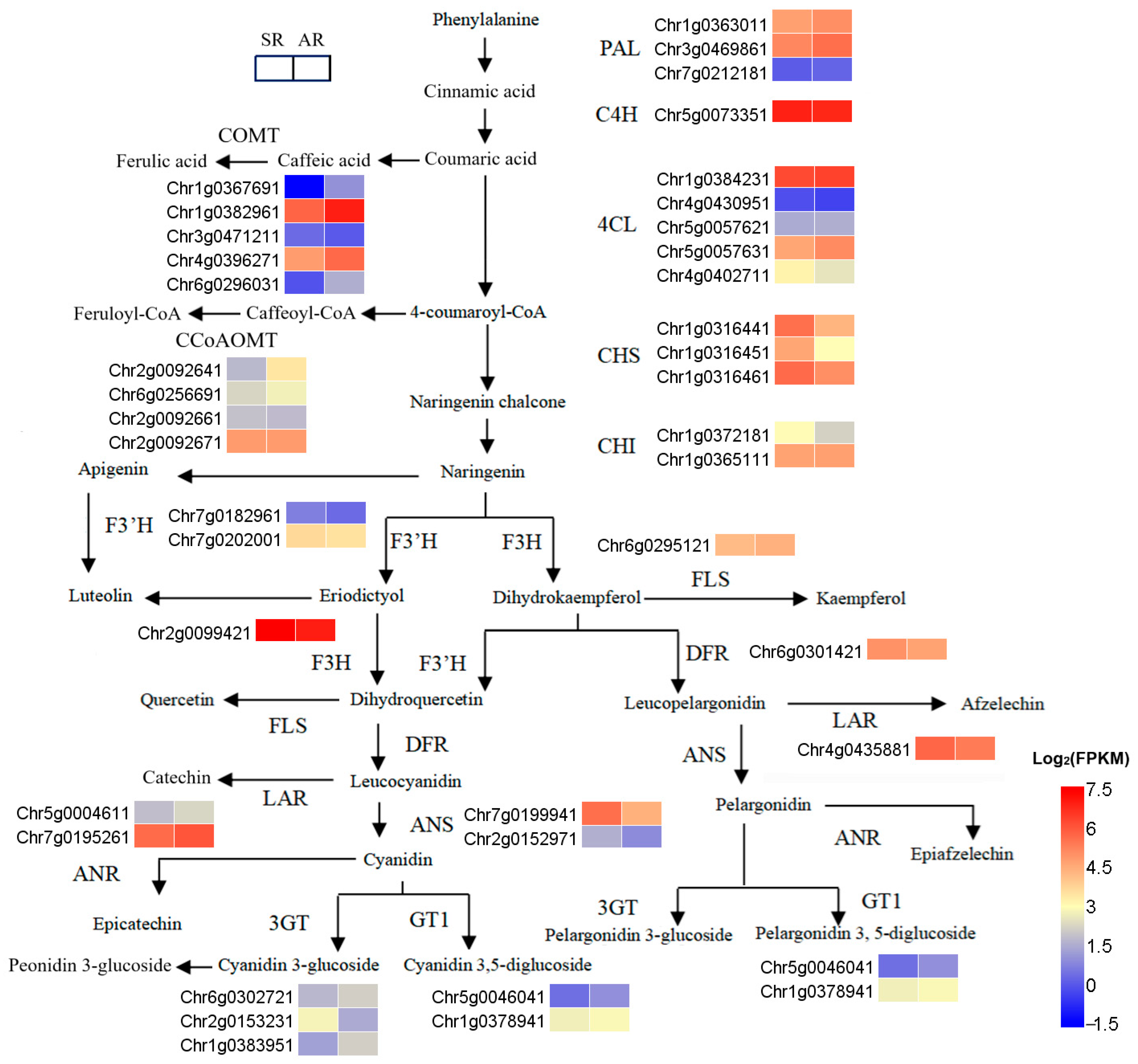 Biology 14 01337 g006 Biology 14 01337 g006