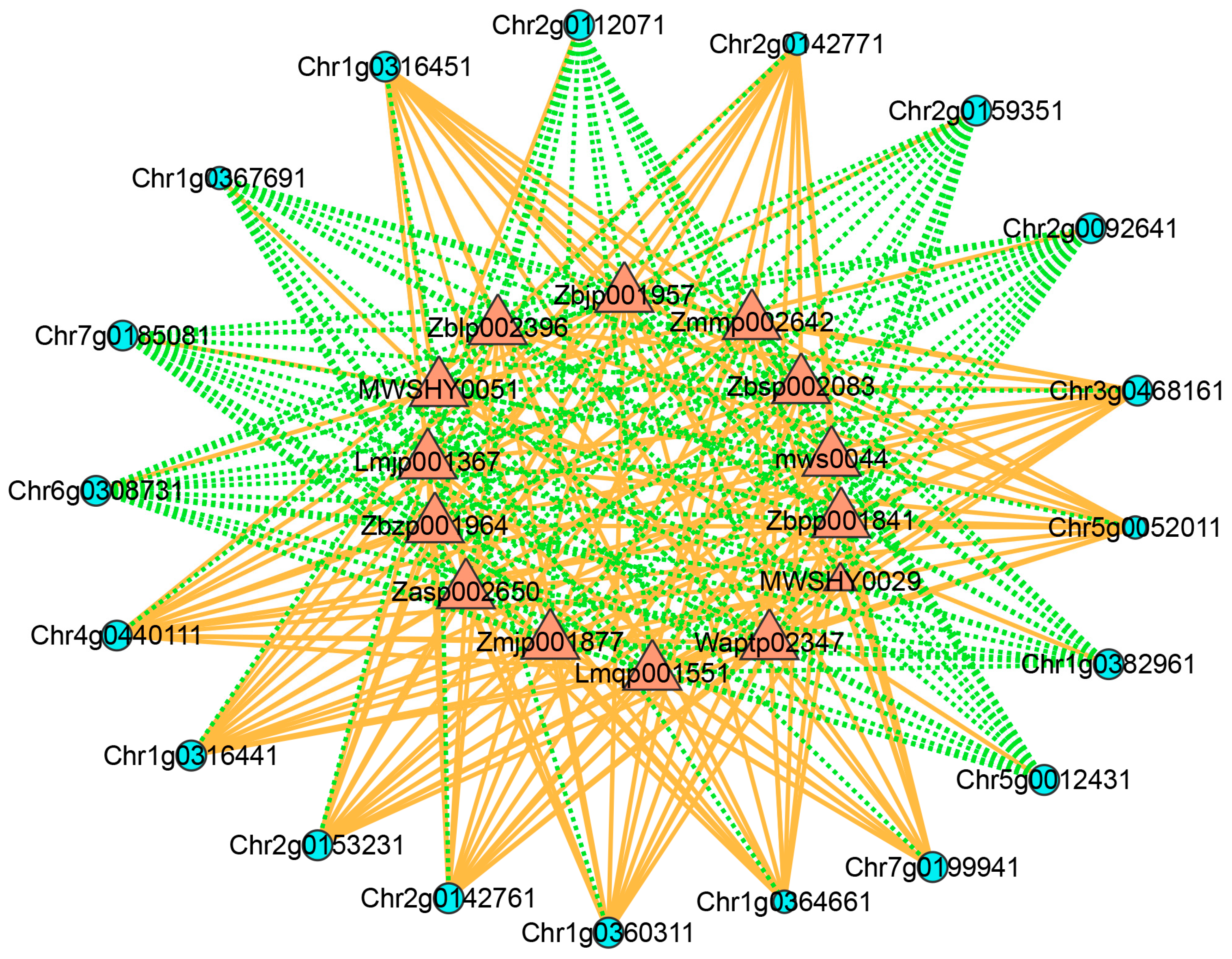 Biology 14 01337 g008 Biology 14 01337 g008