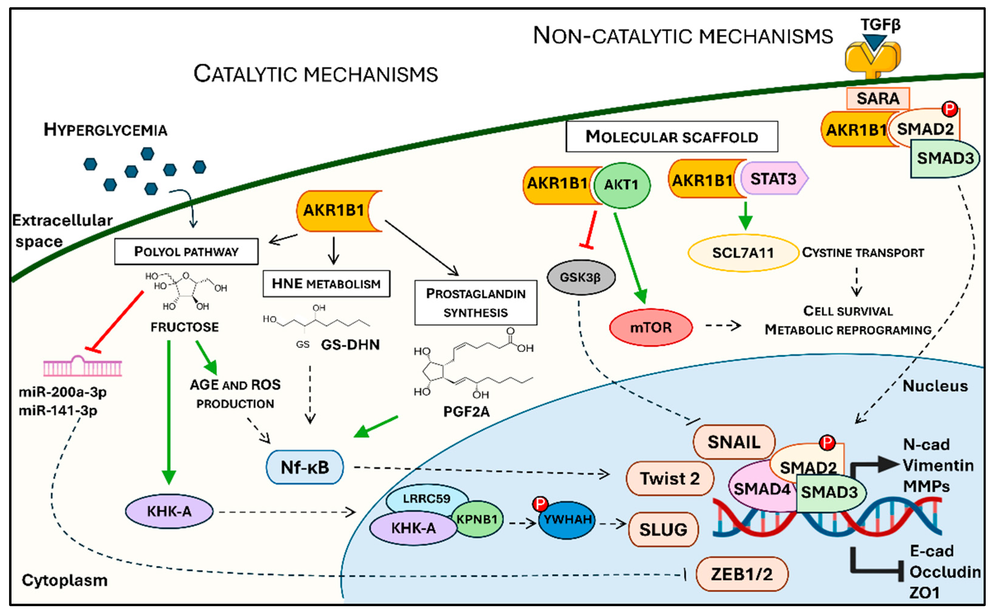Biology 14 01422 g001 Biology 14 01422 g001