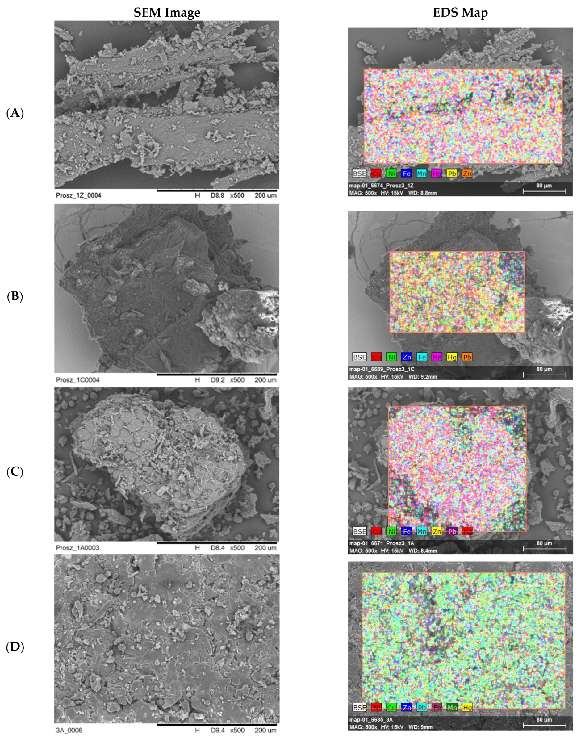 Biology 14 01479 g001 Biology 14 01479 g001