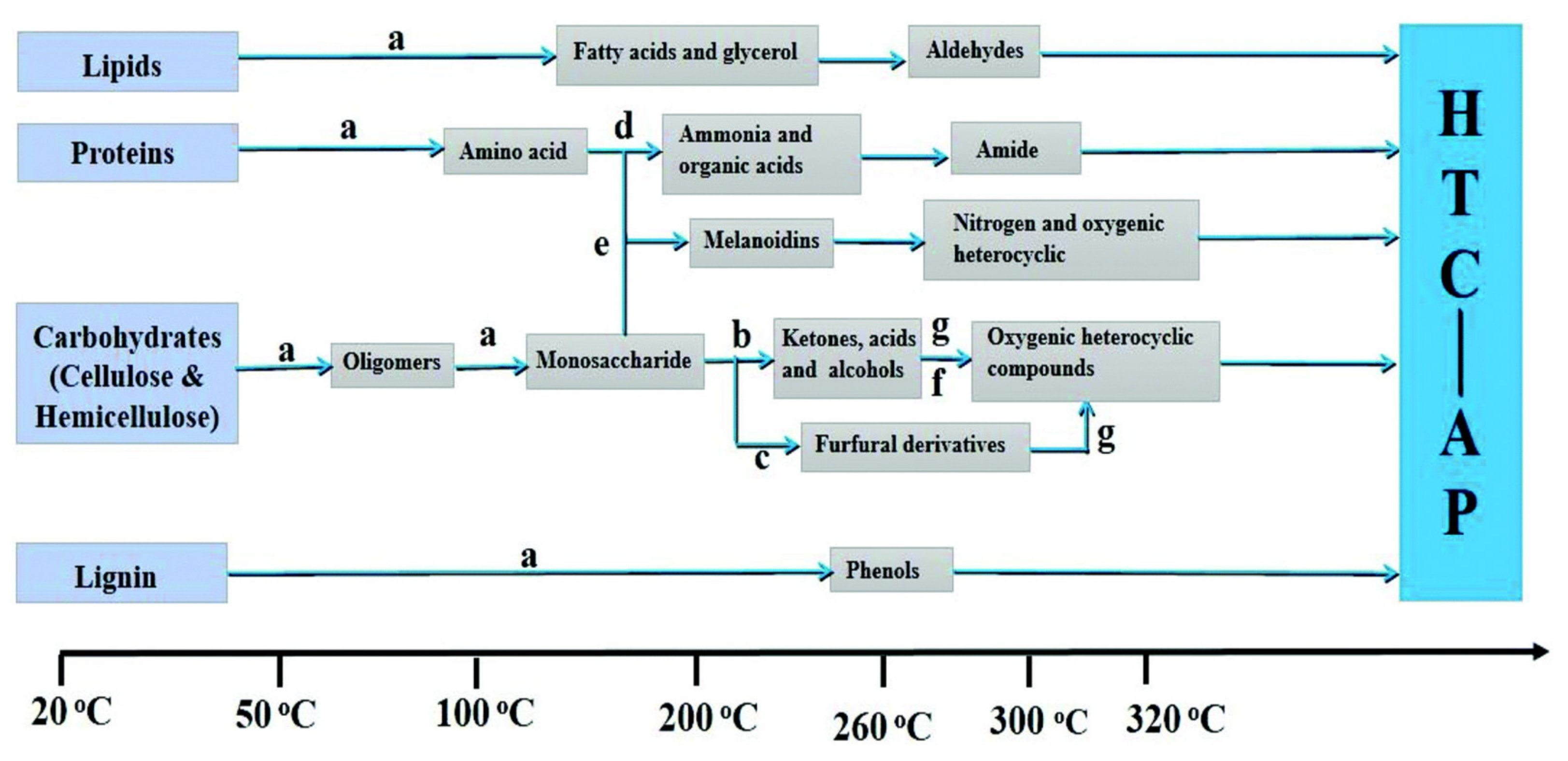Biomass 01 00006 g005