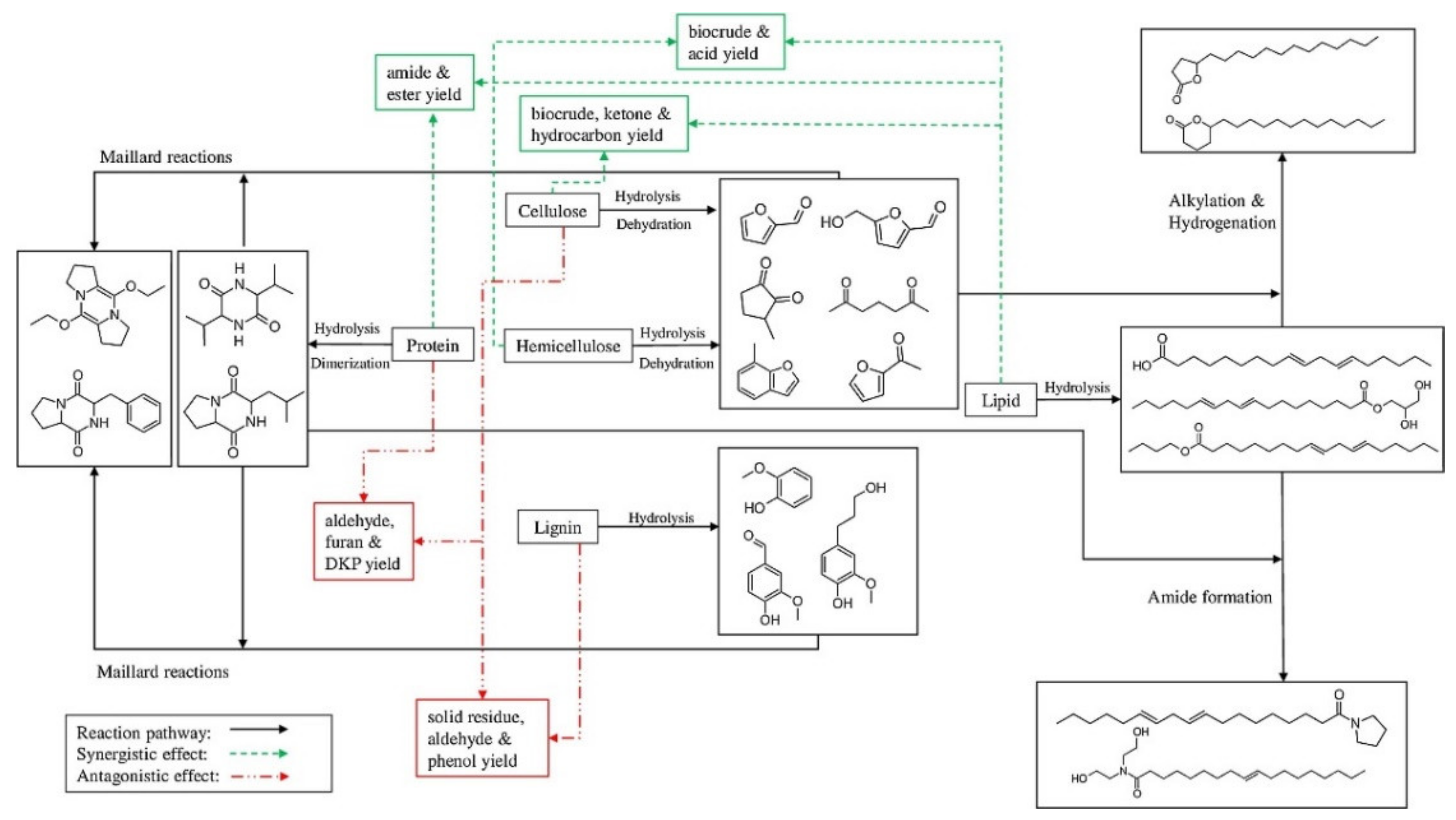 Biomass 01 00006 g007