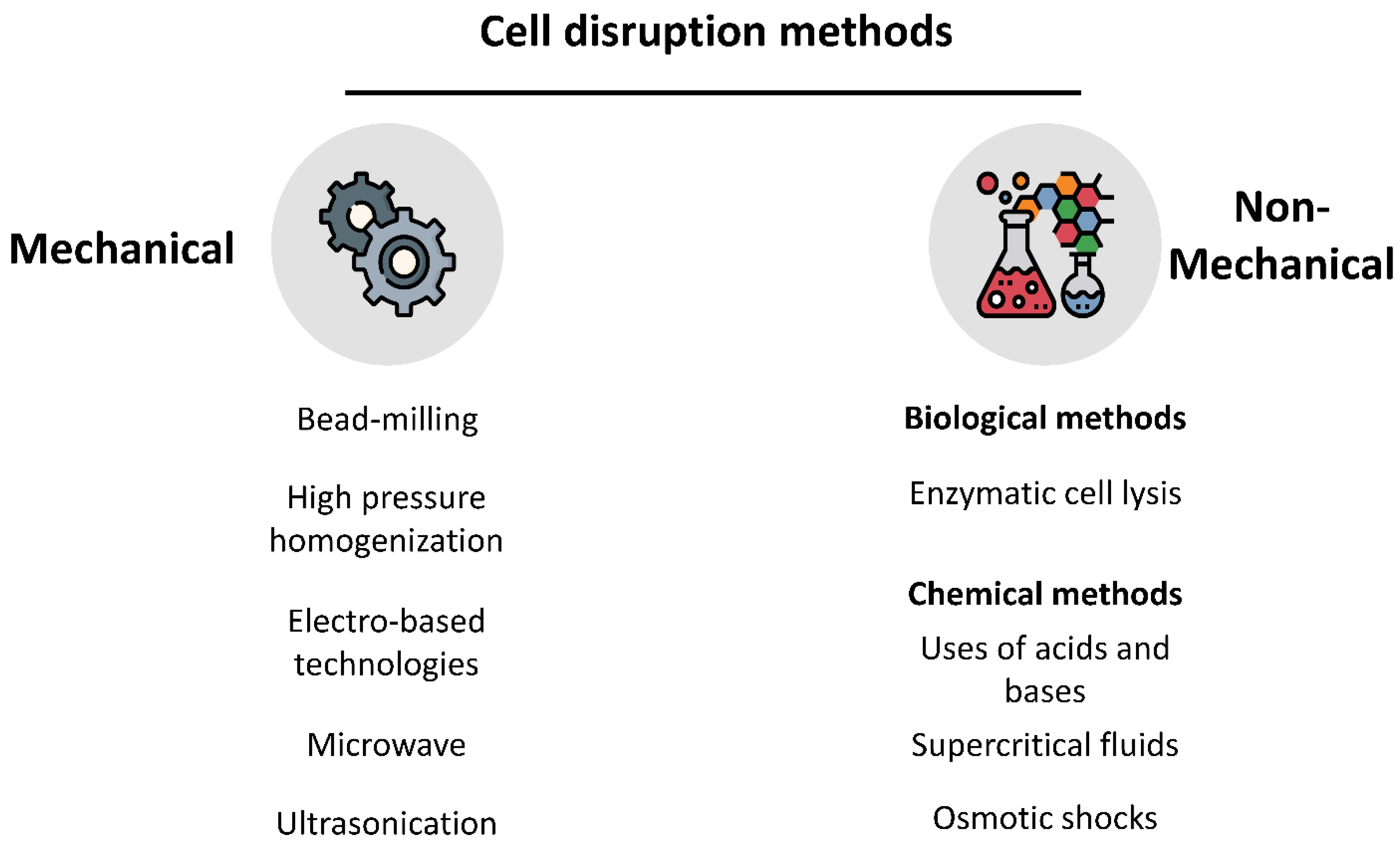 Biomass 02 00006 g002